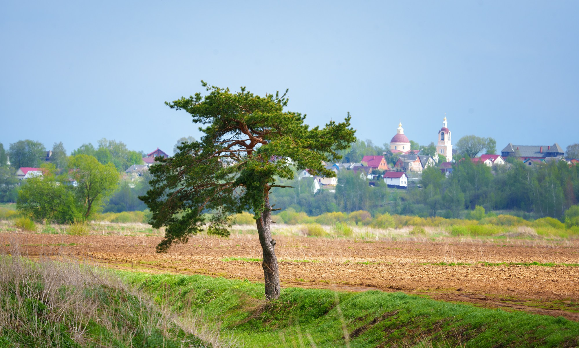 Природа. Ваш личный фотограф Марина Волкова
