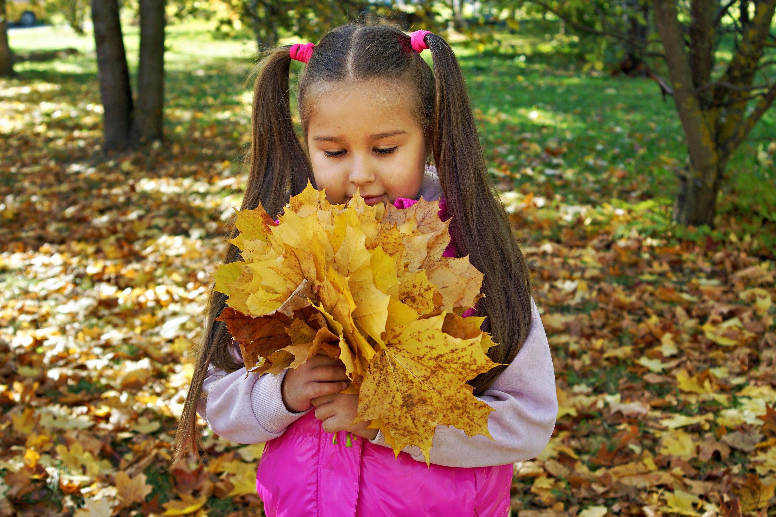 Осенняя фотосессия в детском саду г. Йошкар-Ола