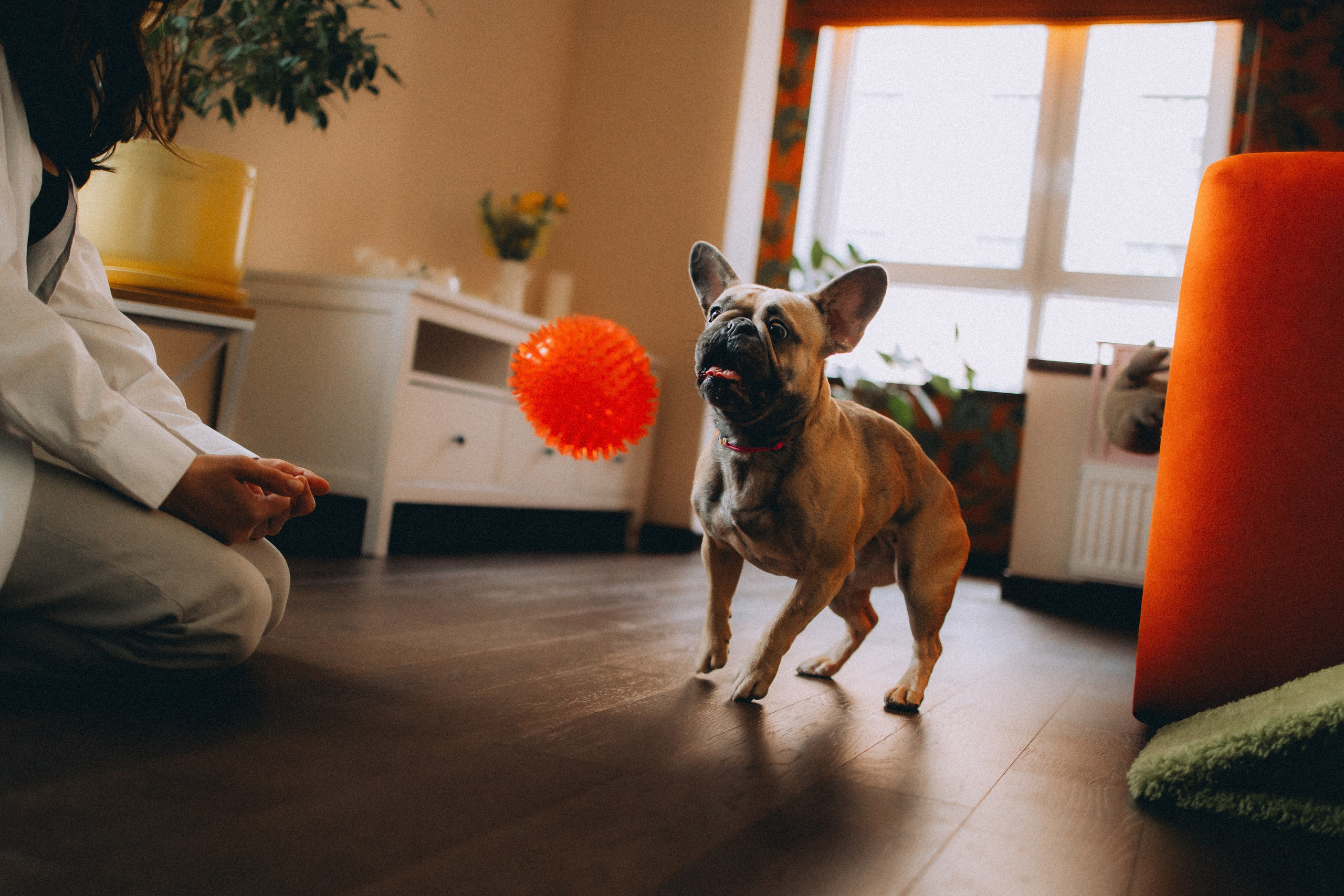 Юля, Мия и Зек