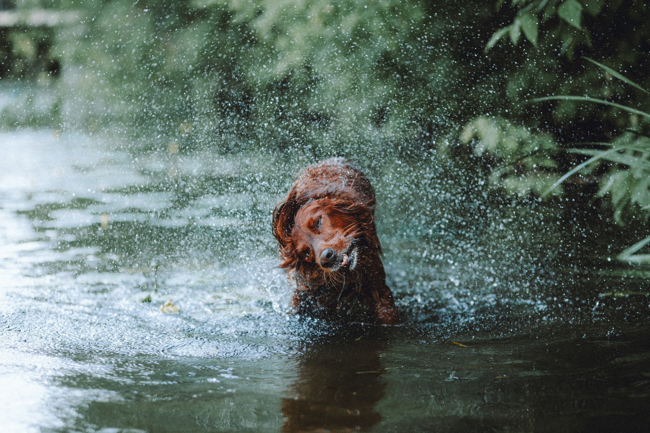 Маша и Джерри