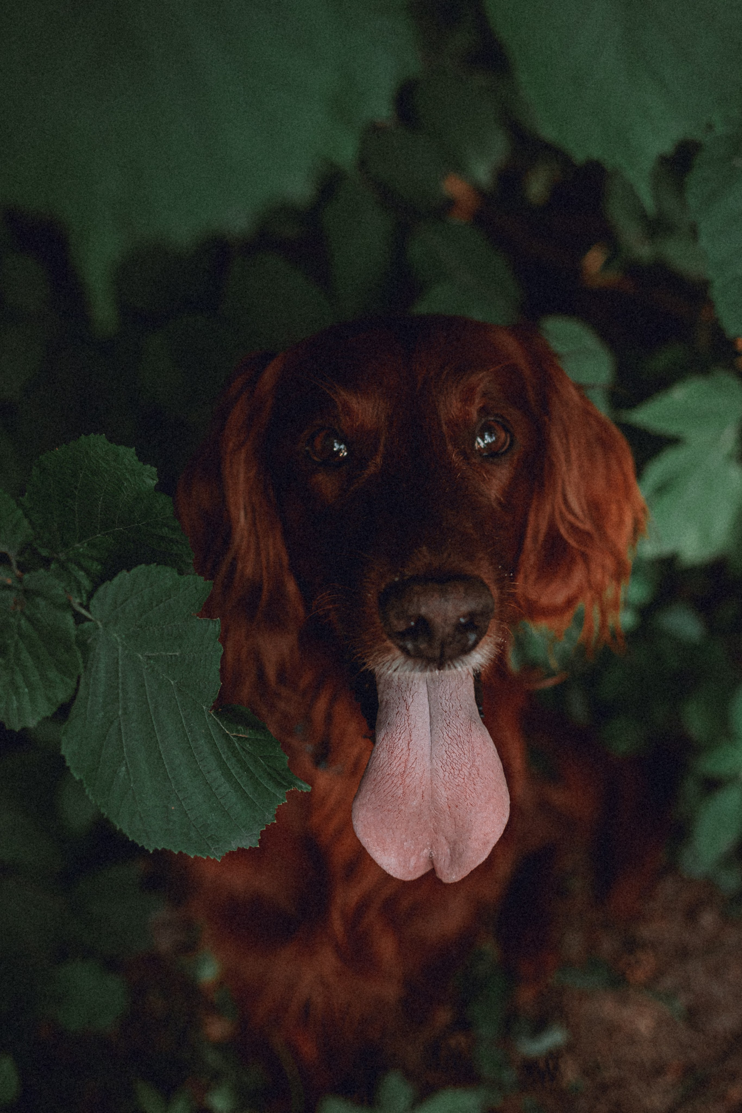 Маша и Джерри