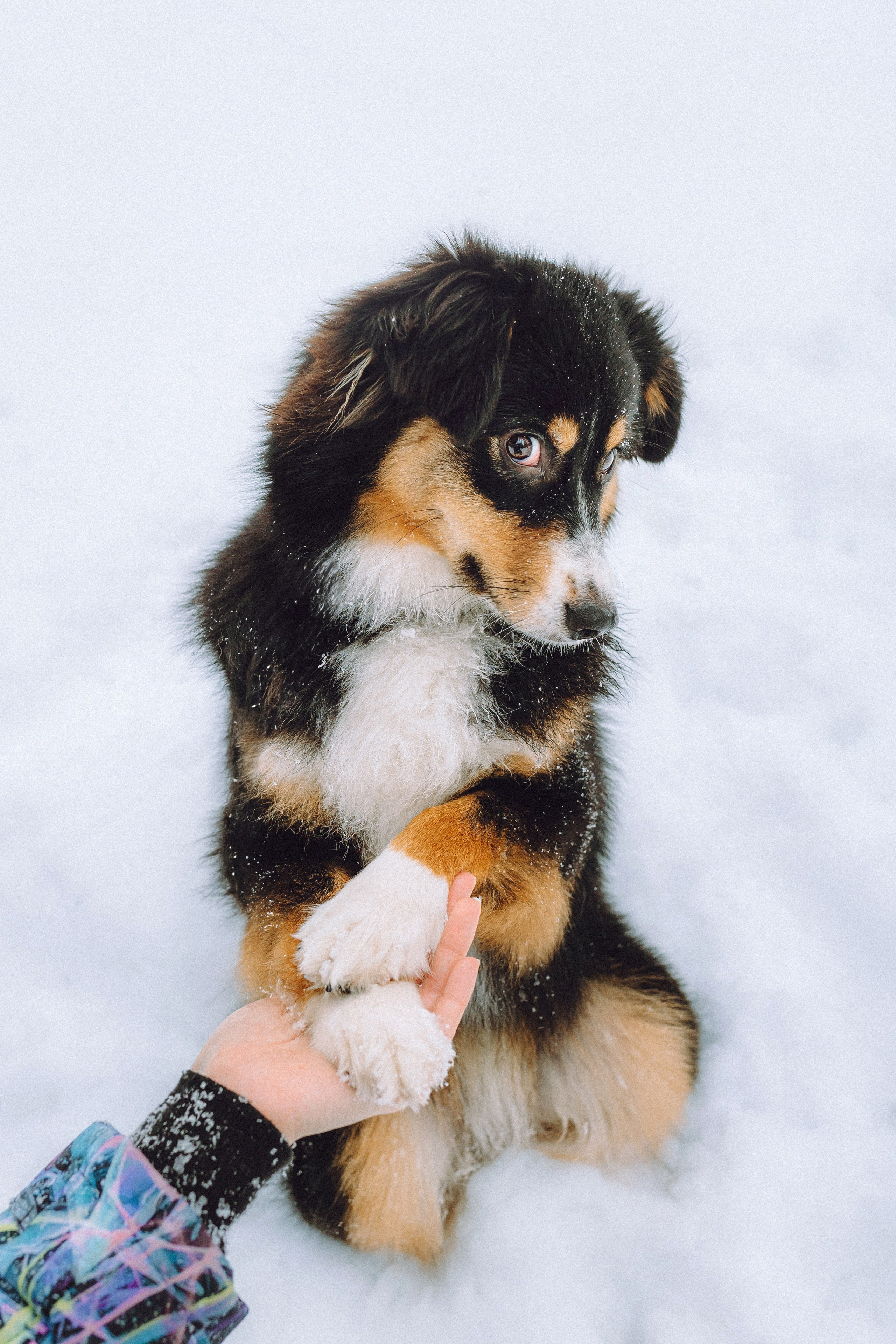 Таня, Ваня и Гром