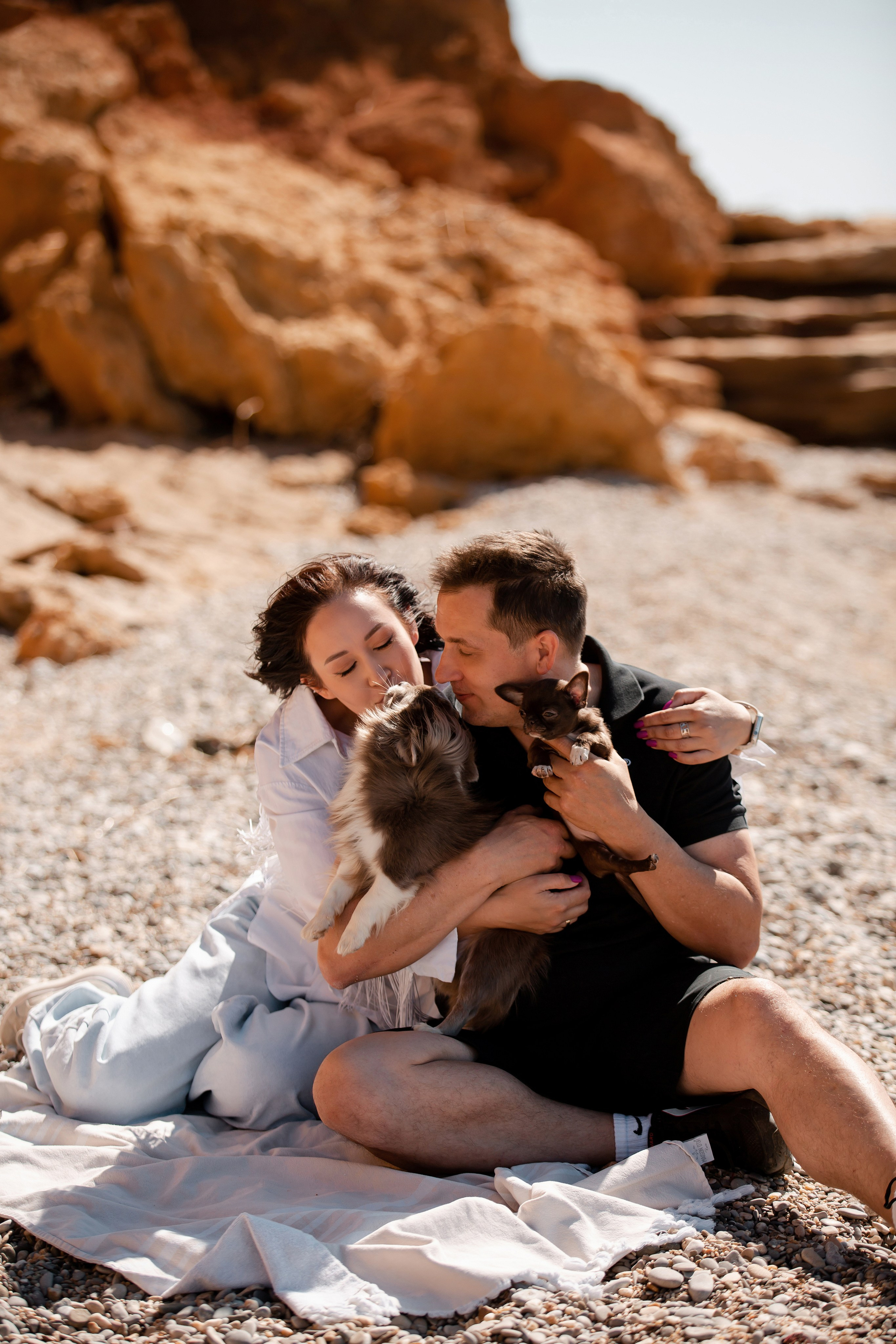 Веймаранер и чихуахуа в Крыму. Фотограф-анималист в Краснодаре Маша Мельникова