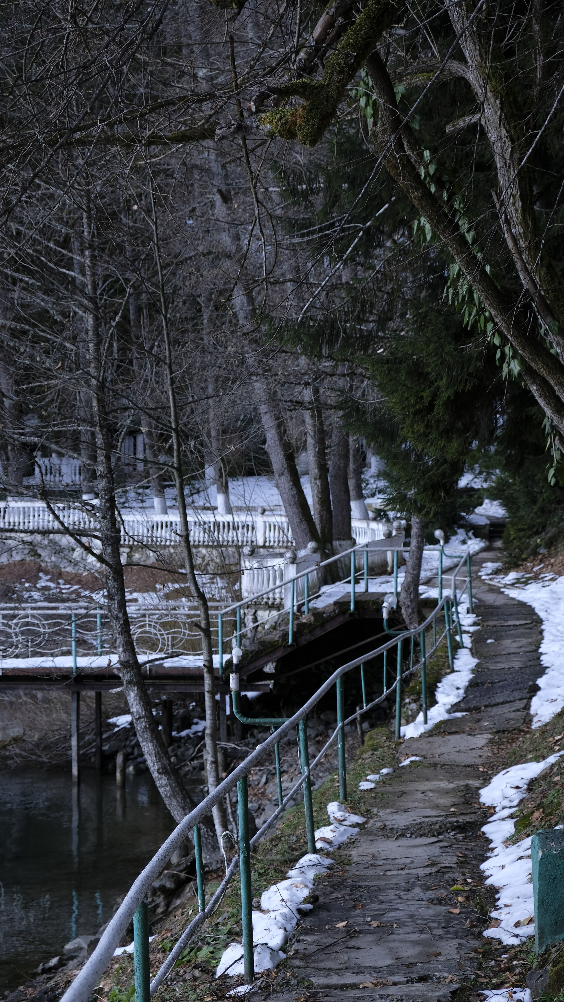 Сталинская дача на Рице зимой. Главная