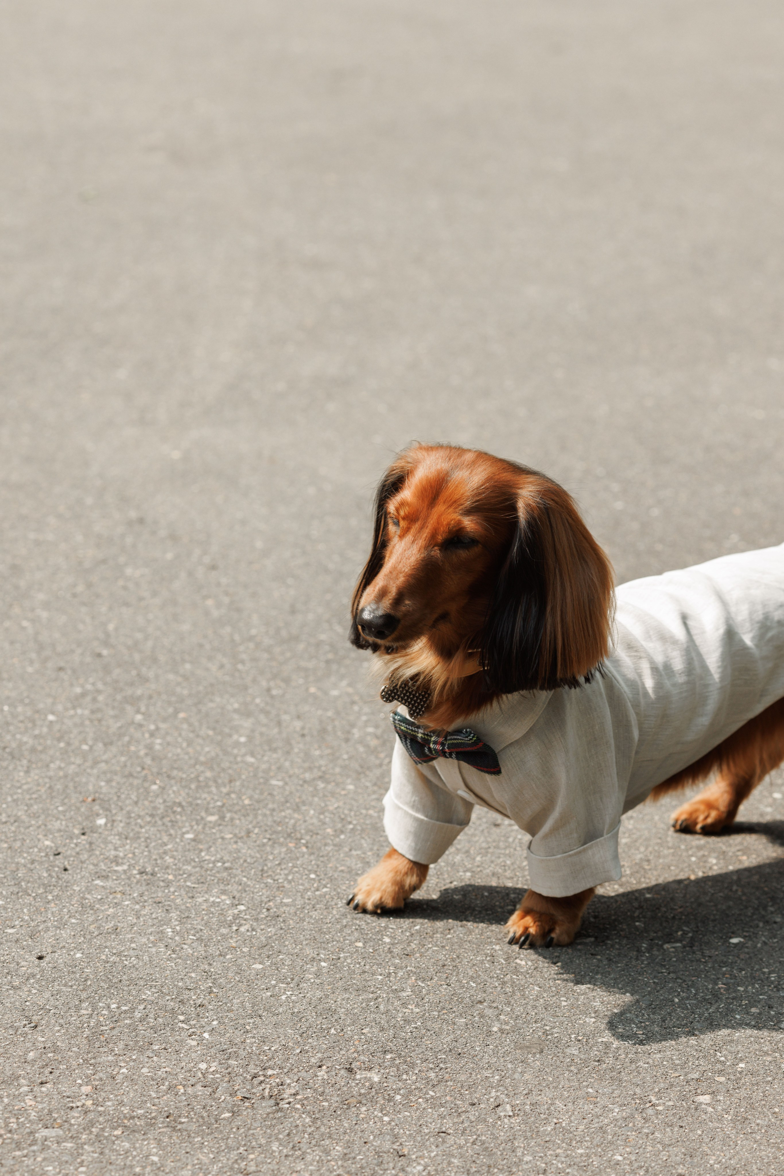 Hide Анастасия&Влад. Свадебный и семейный фотограф  во Владивостоке Ольга Украинец