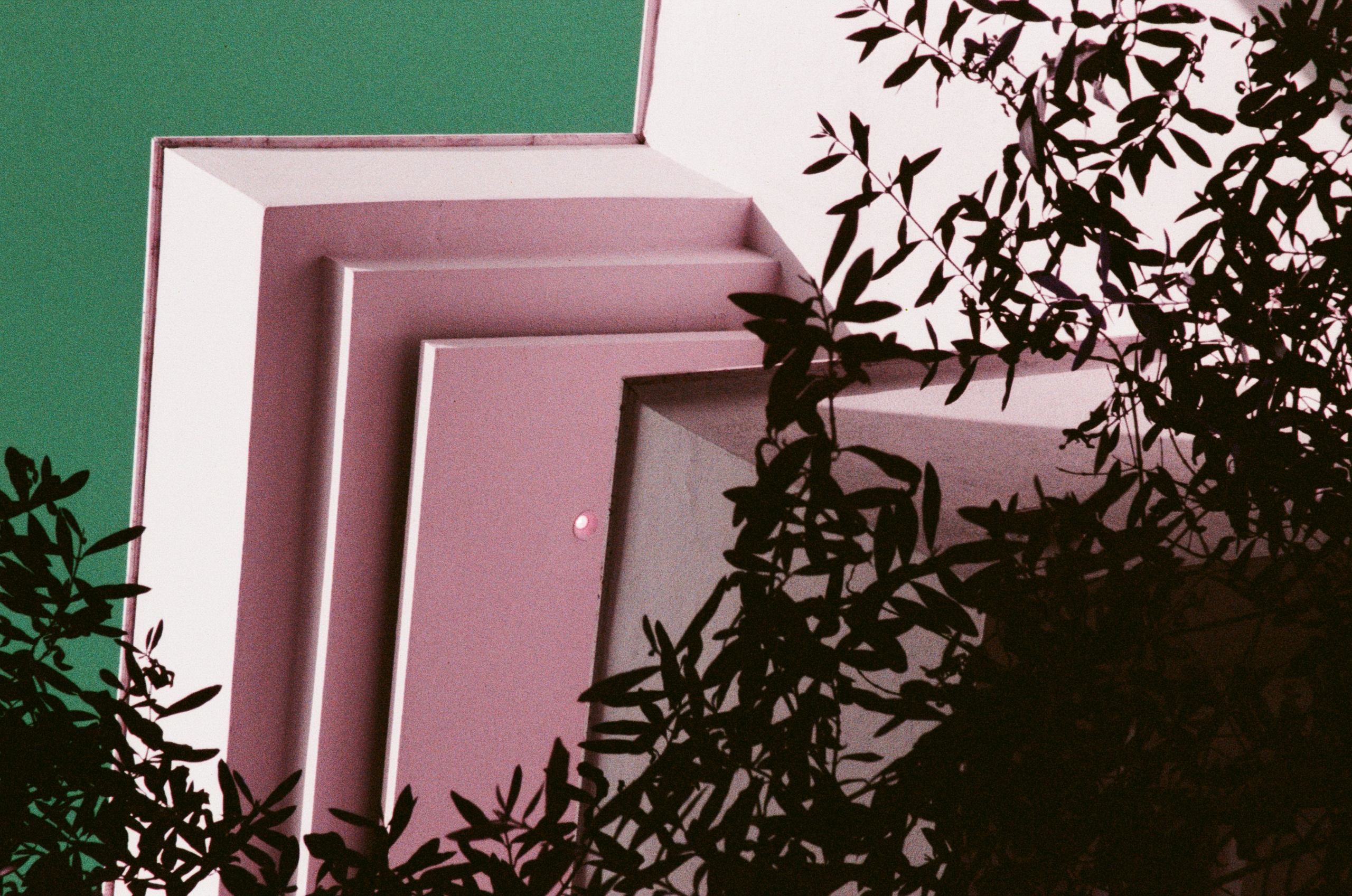 Пленка. Фотограф Елена Лаврова