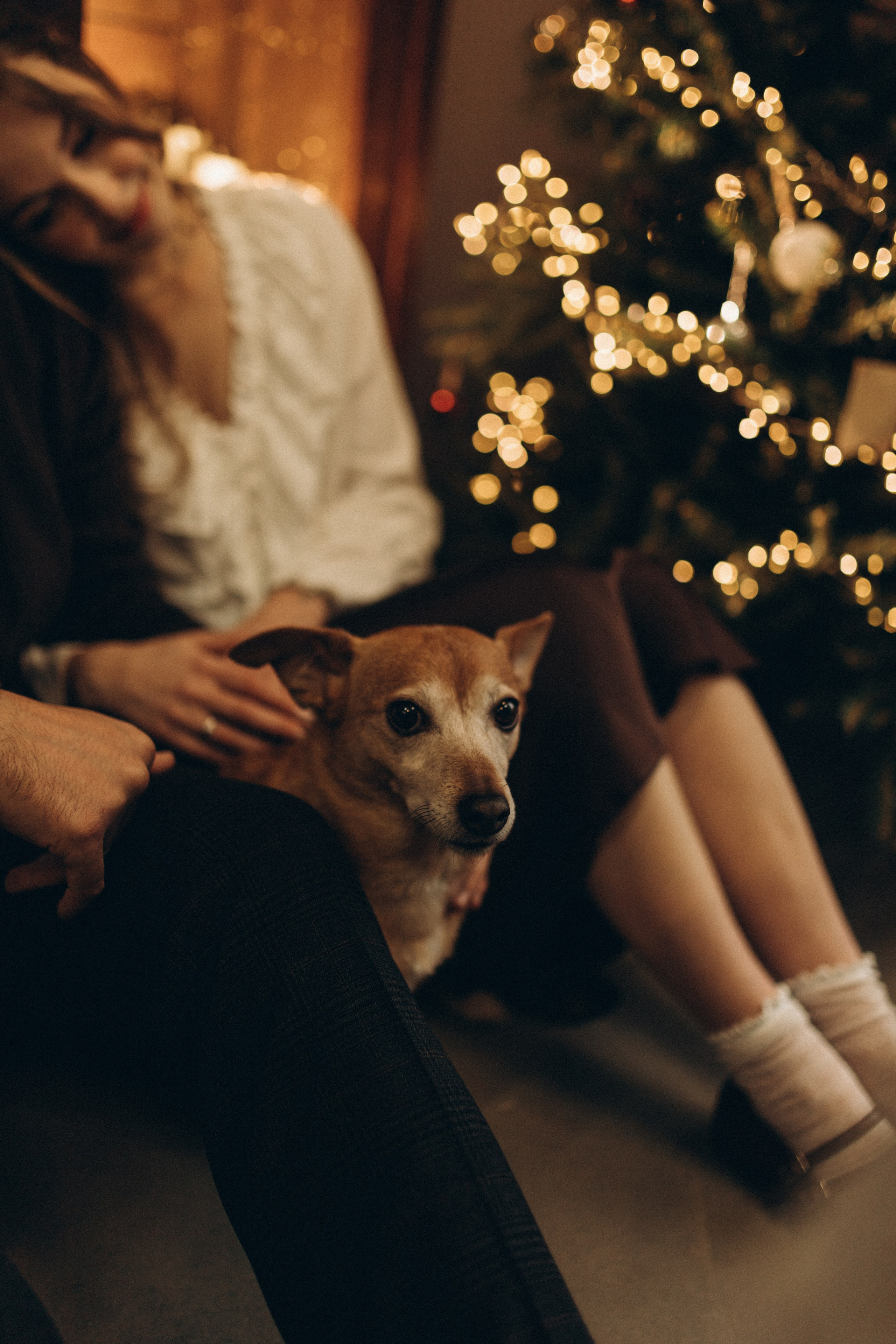 Даша и Витя. Новогодняя история в СПБ. Услуги