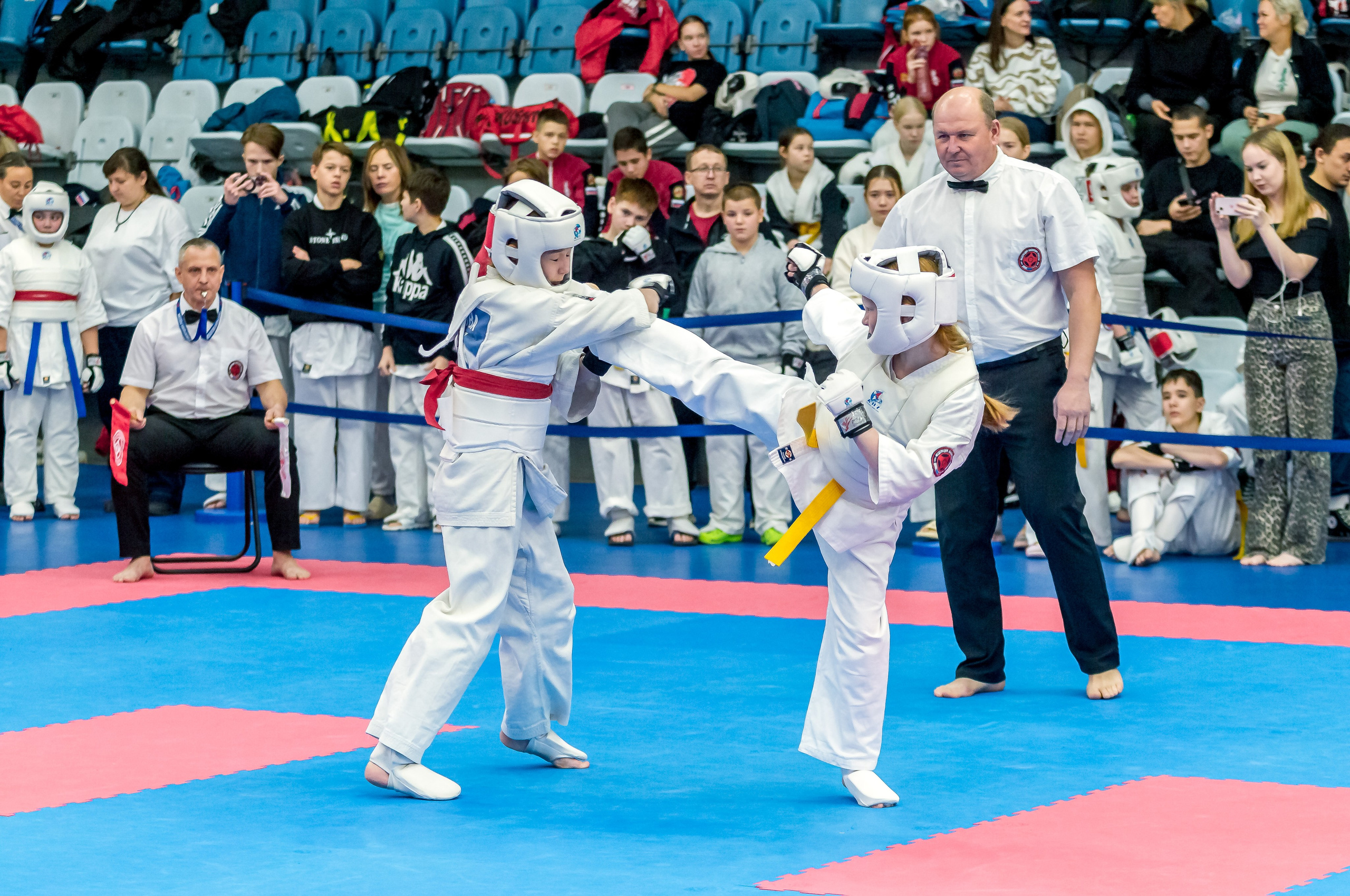 Соревнования по Киокушин памяти С. Увицкого. Репортажная съемка в Москве и области. Анималистика