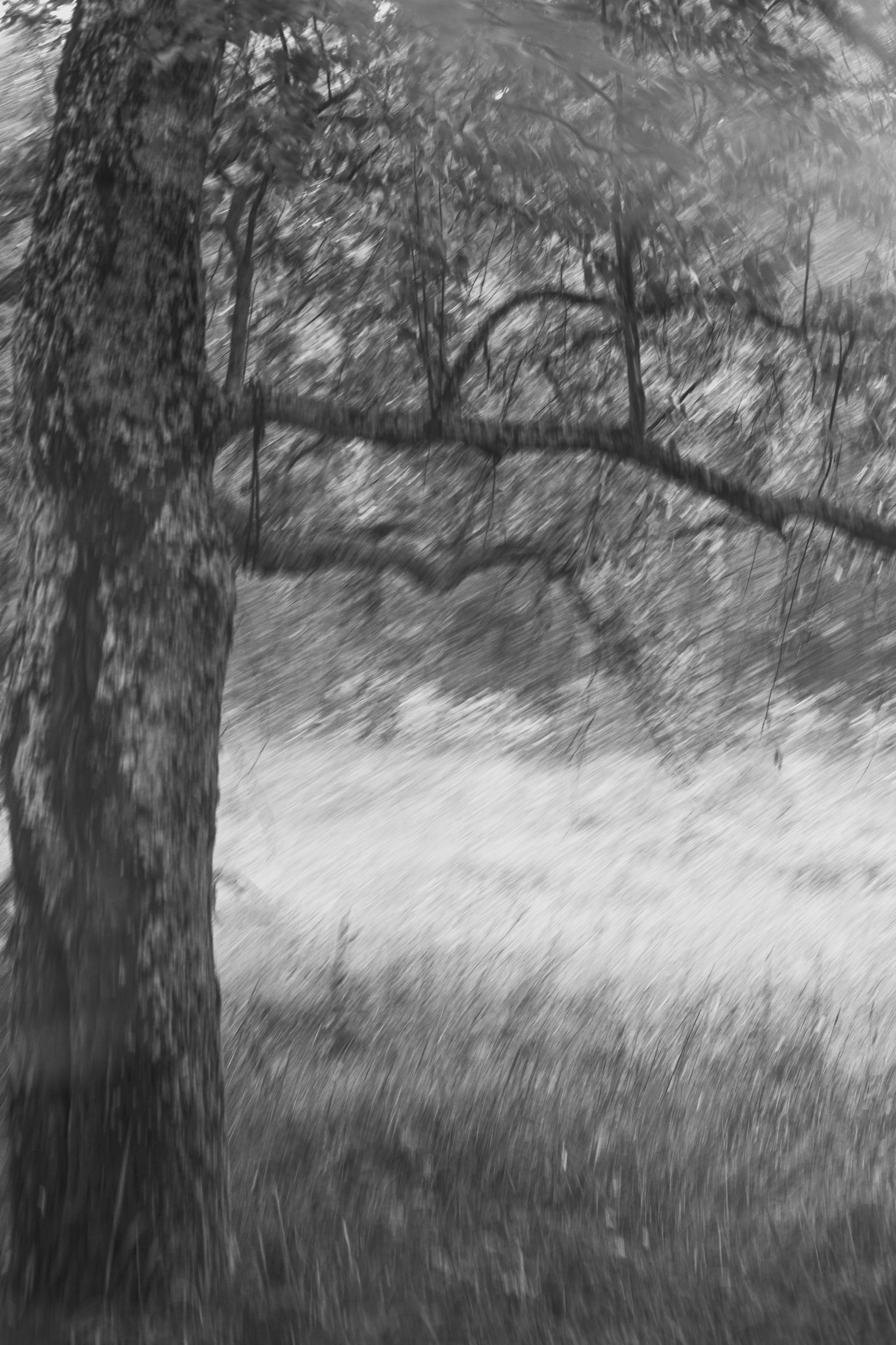 Кимрские исторические тракты: Ильинское кольцо 2026. Профессиональный фотограф, фотохудожник, видеограф из Москвы