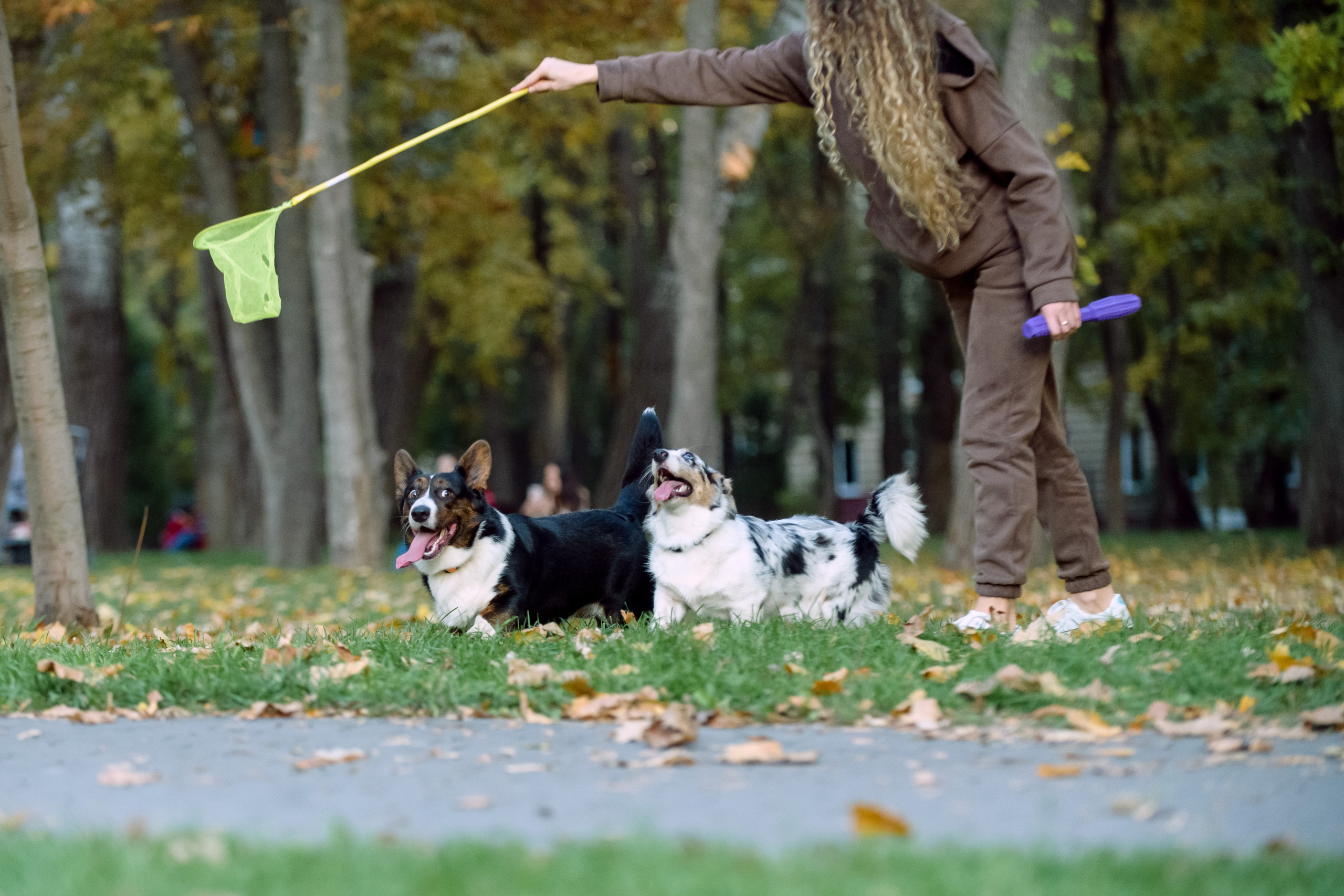 Оля и Ваня с собаками. Фотограф в Ростове-на-Дону Маркер Елена