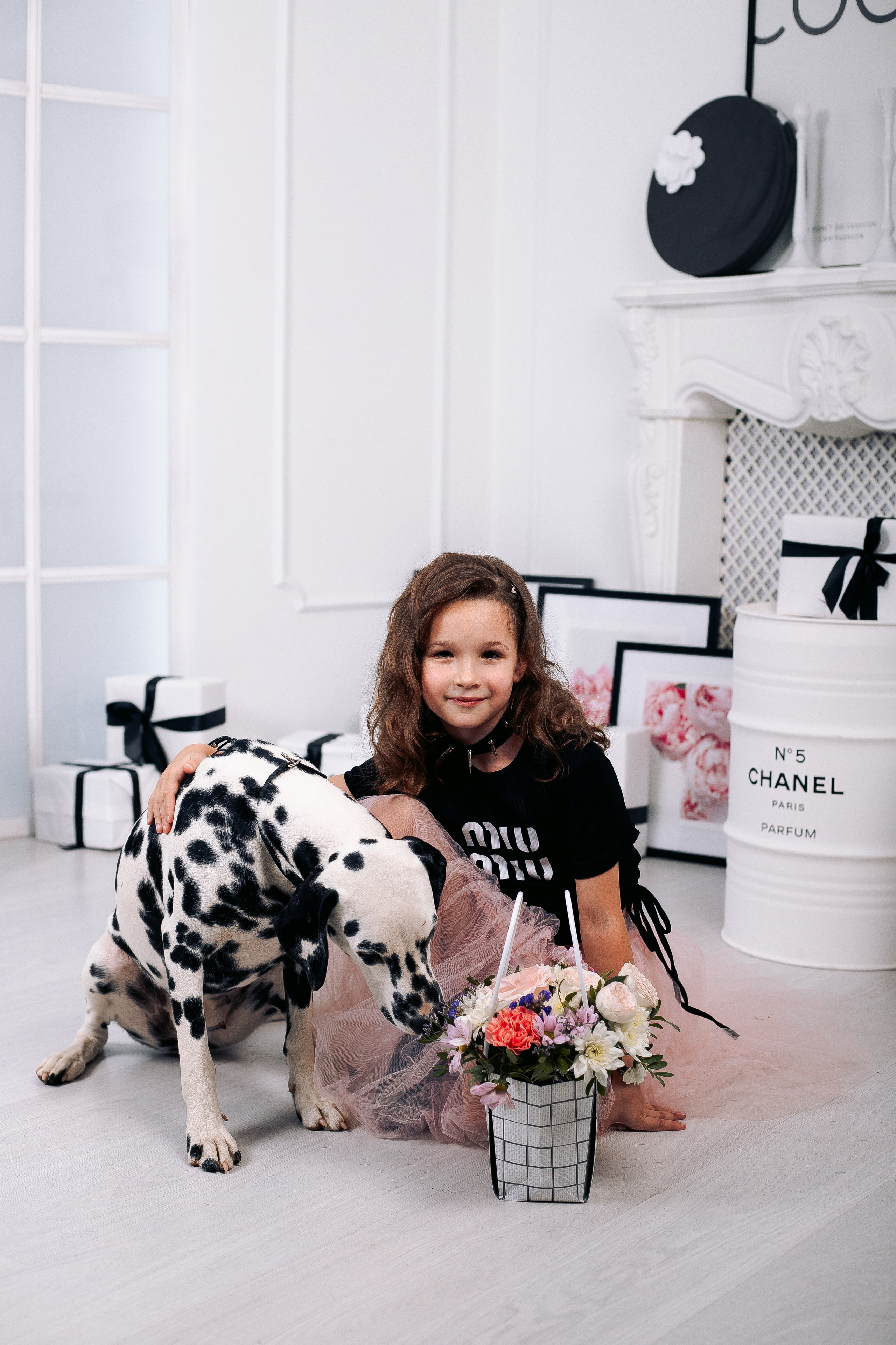 Фотосессия с далматинцами в фотостудии. Фотограф в Санкт-Петербурге, Анна Скворцова