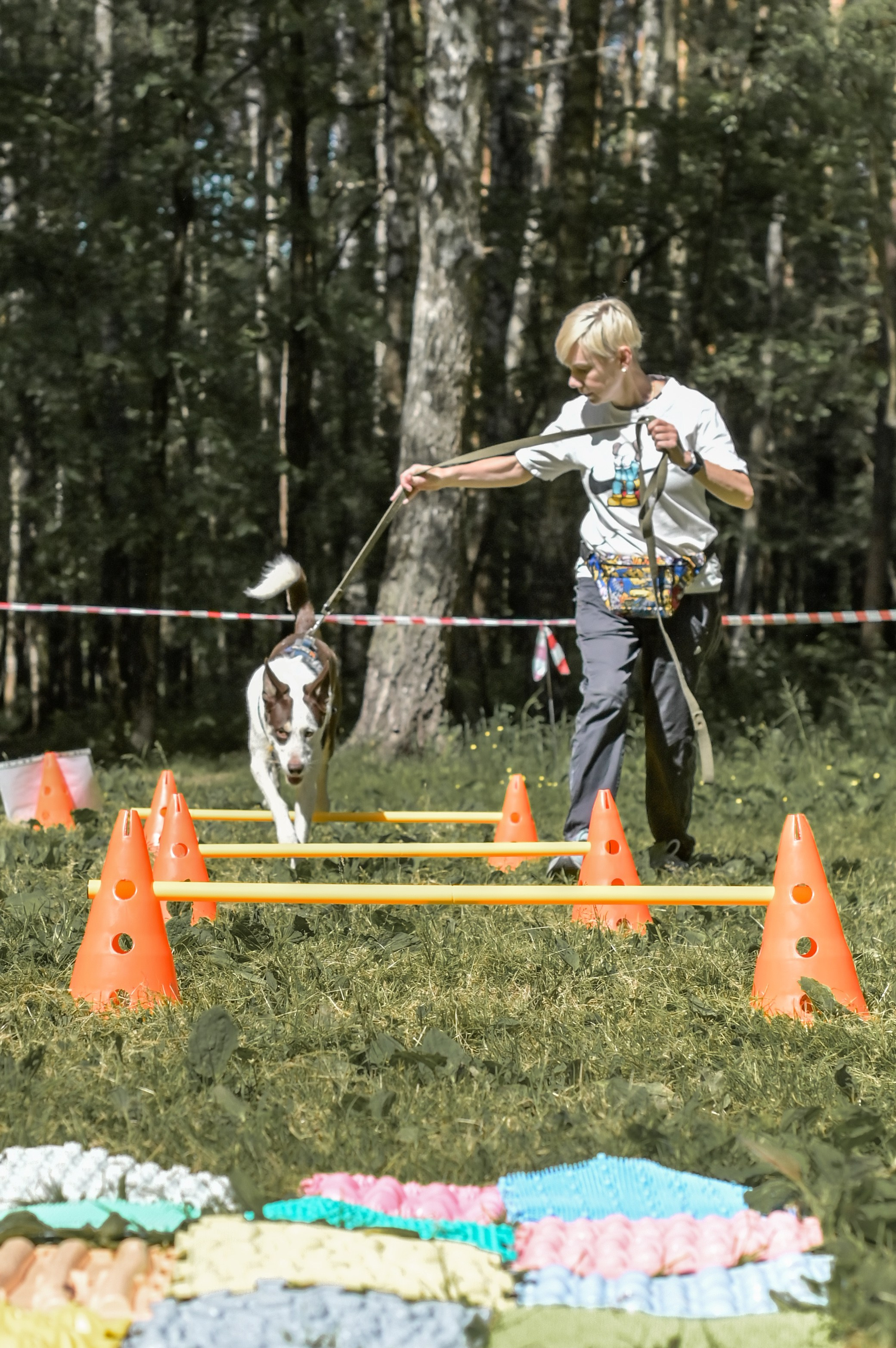 Кинологические соревнования. Семейный и репортажный фотограф в Москве Анастасия Трубкина