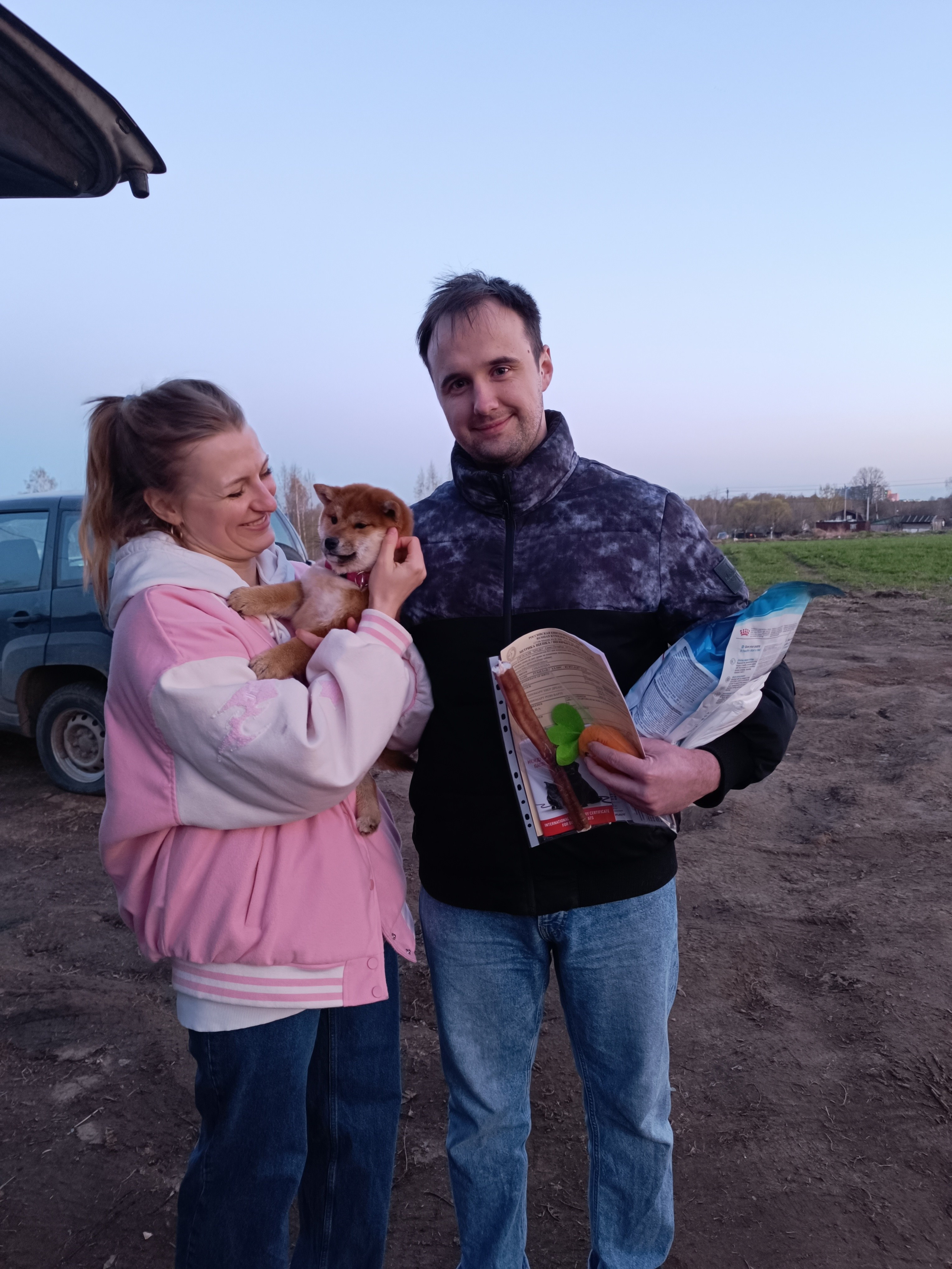 Сиба Rubylight Ellis питомник Рубилайт