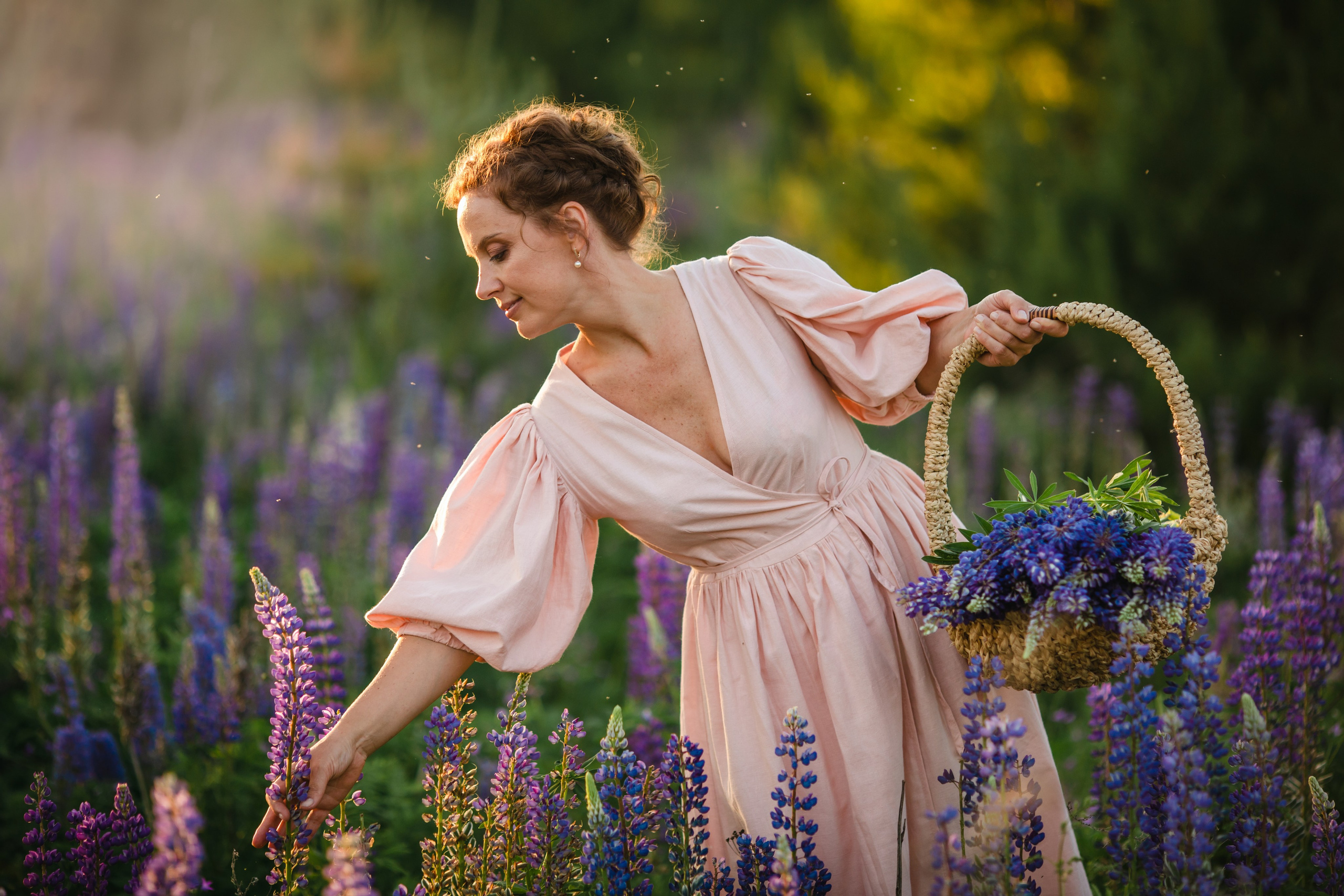 Люпины. Olga.filippova.photo