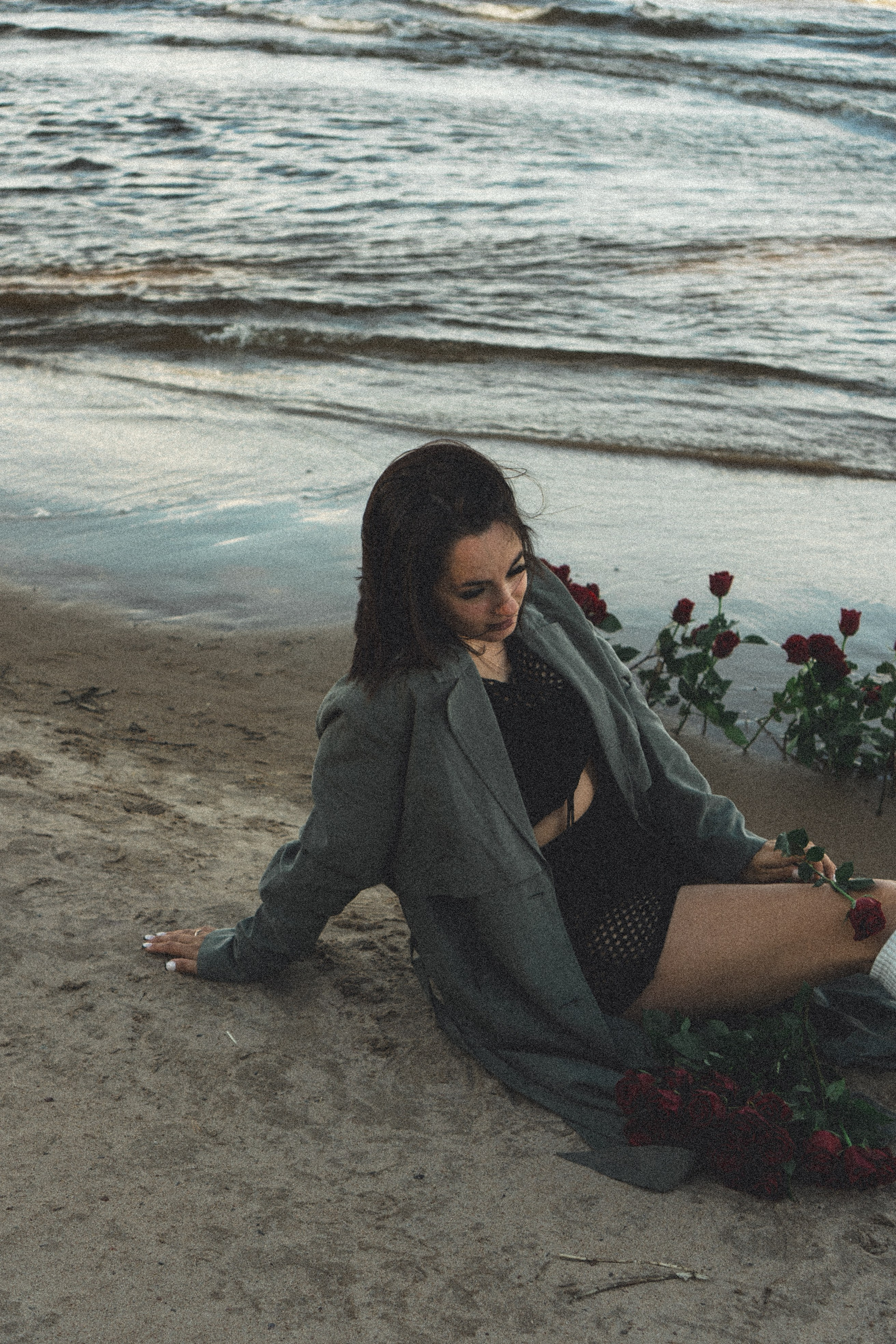 Розы. Профессиональный фотограф, Санкт-Петербург — Виктория Богомолова