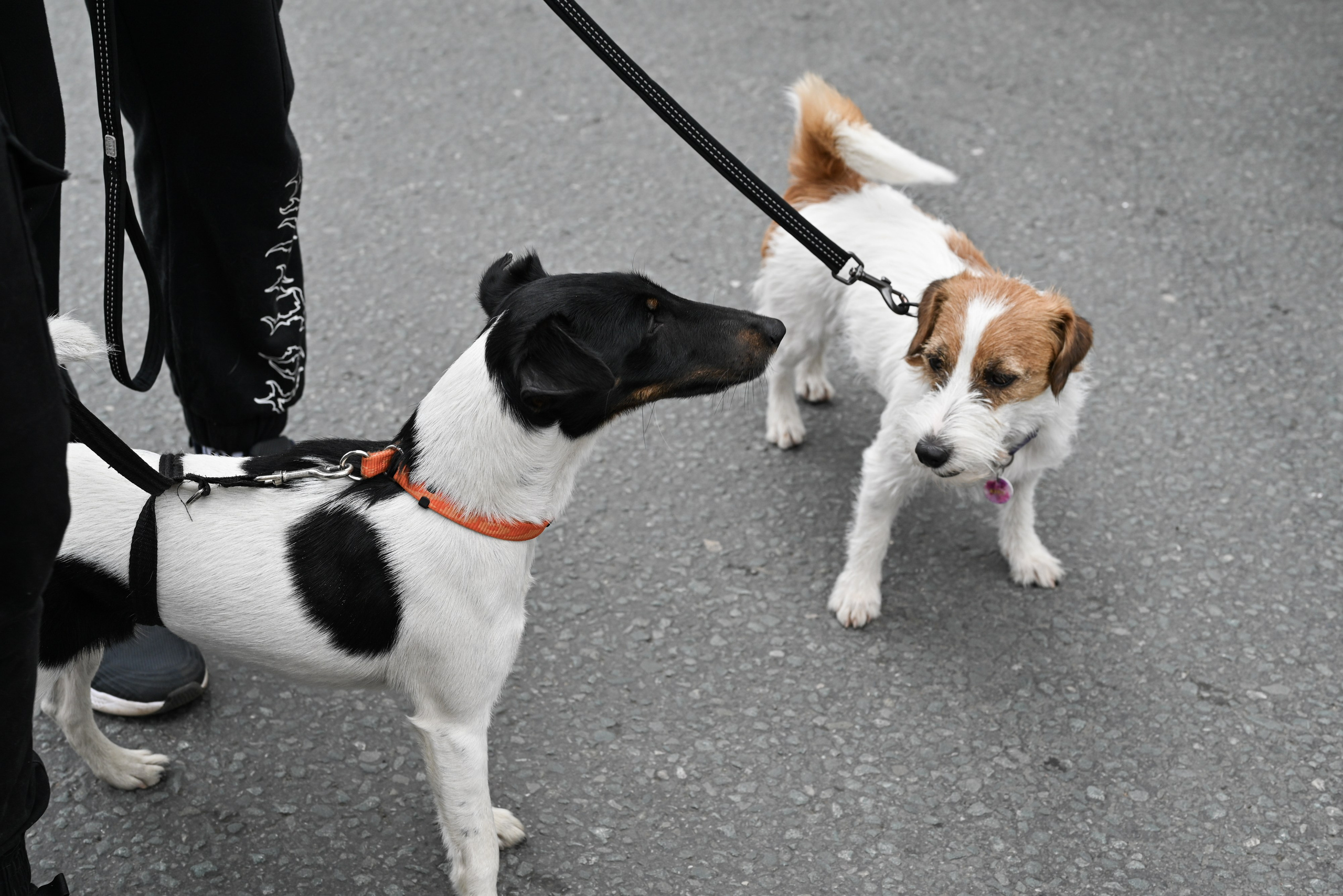 ЛУИДОР выставка. Свадебный и семейный фотограф в Уфе Александров Максим