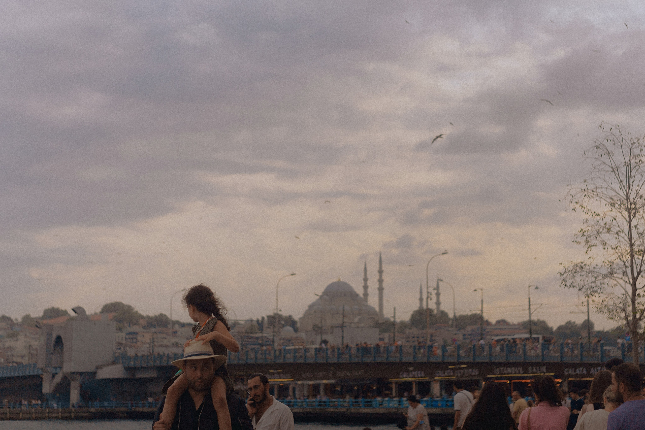 What is beauty | for the VOGUE competition. Egor Plakhotin Photography