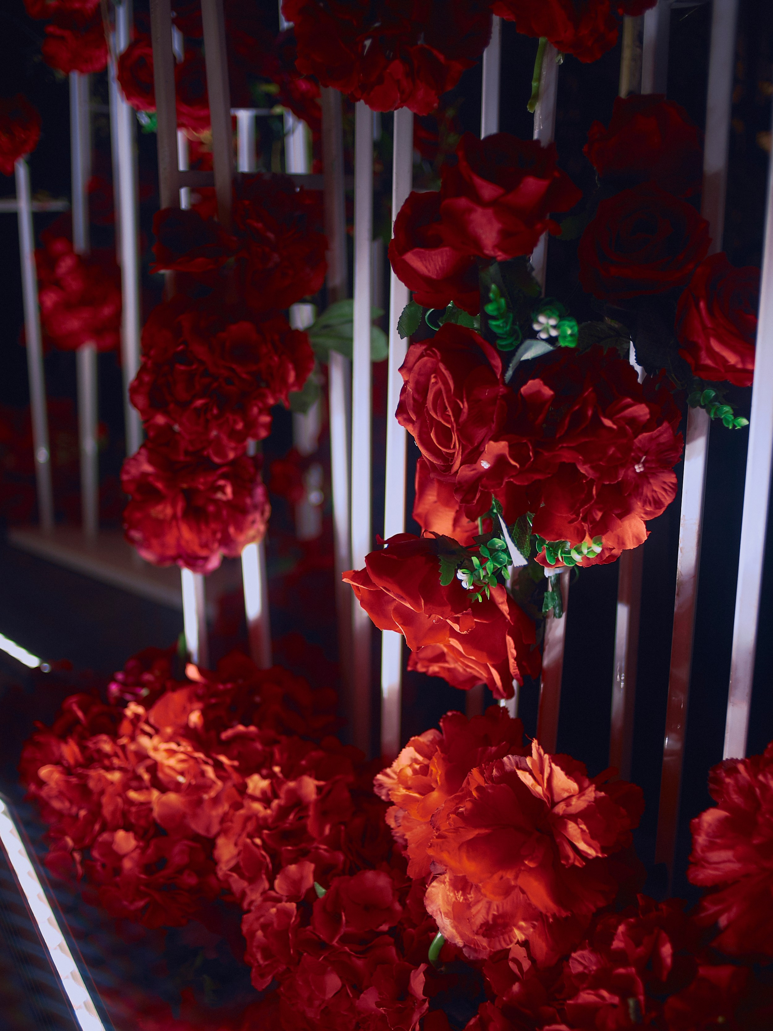 PORSCHE. Egor Plakhotin Photography