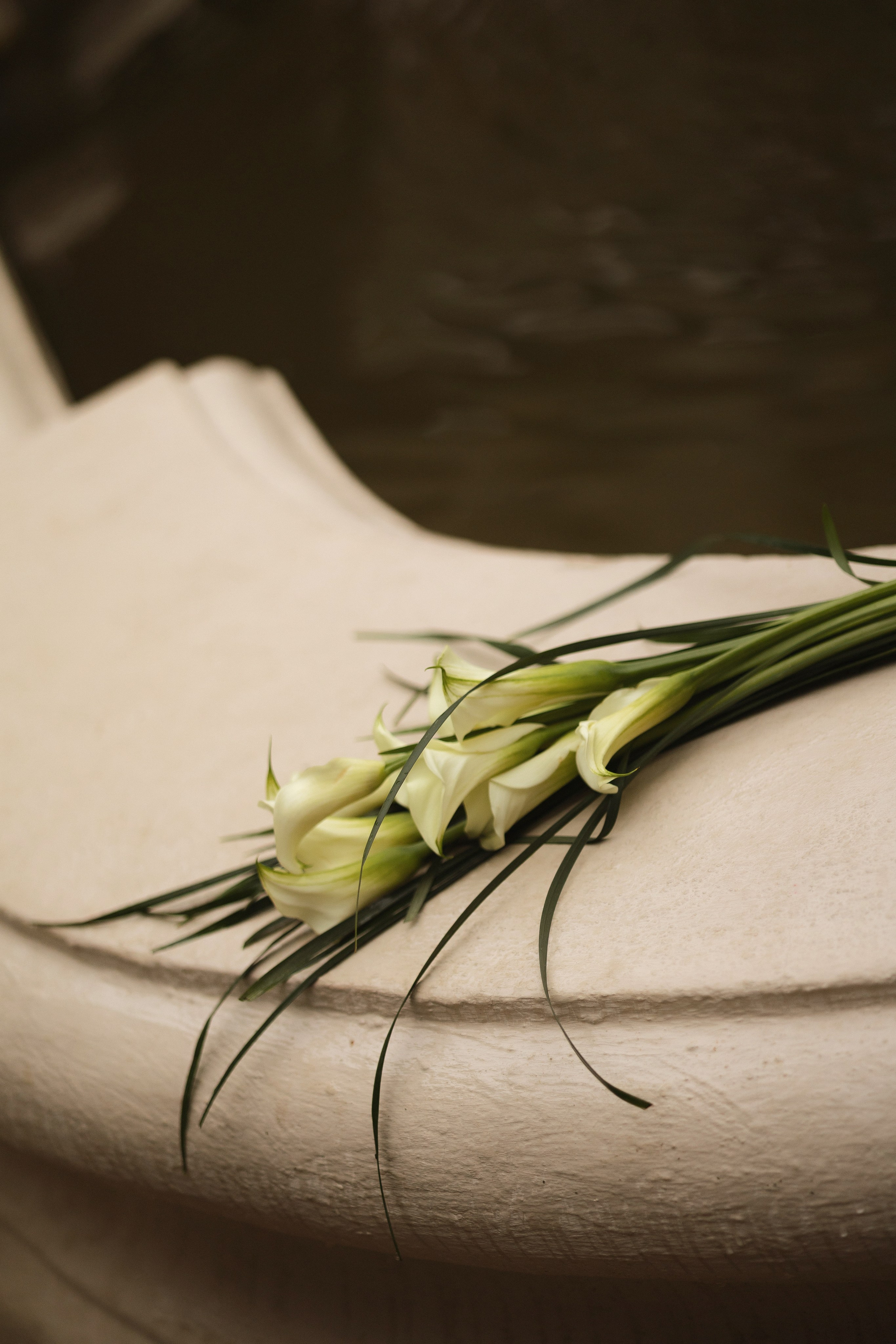 V&K. Свадебный фотограф Лиза Макатович Беларусь Минск