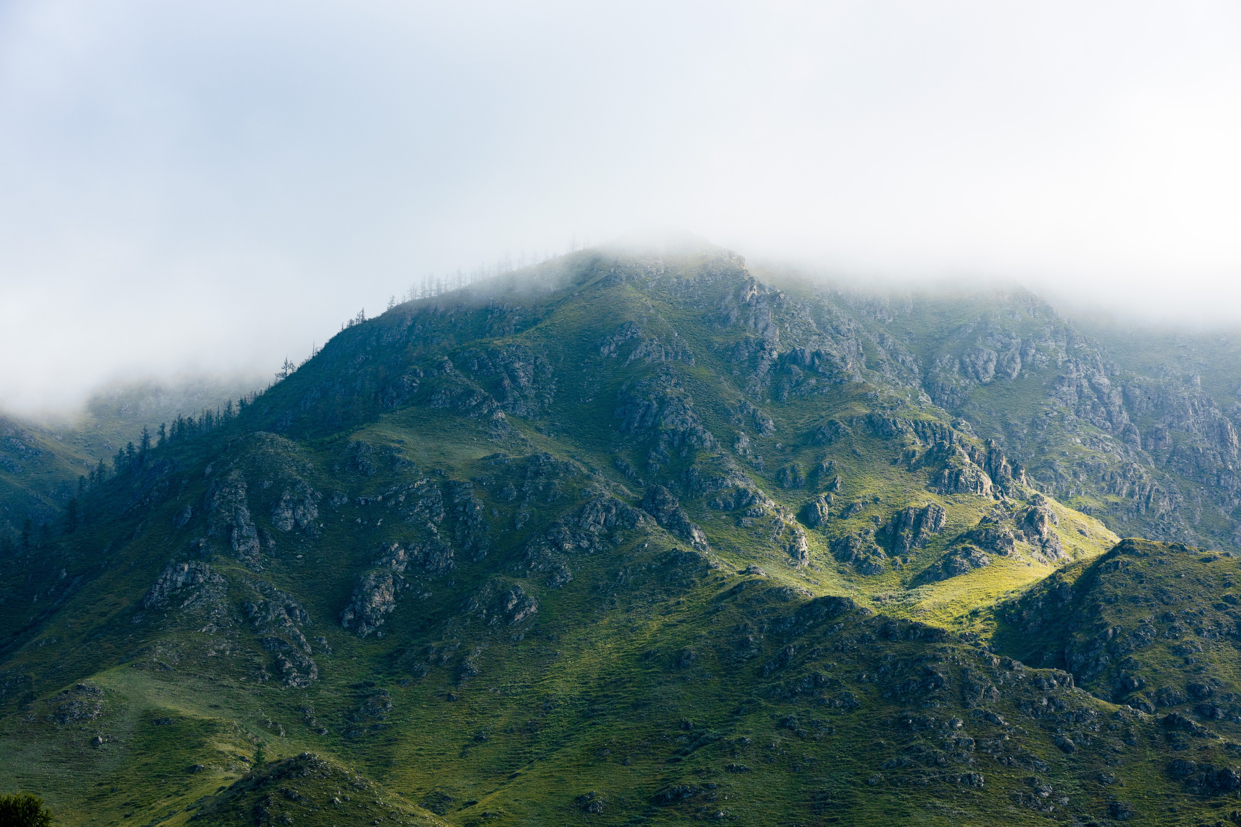 Другое. Спортивный и портретный фотограф в Москве Игорь Дылдин