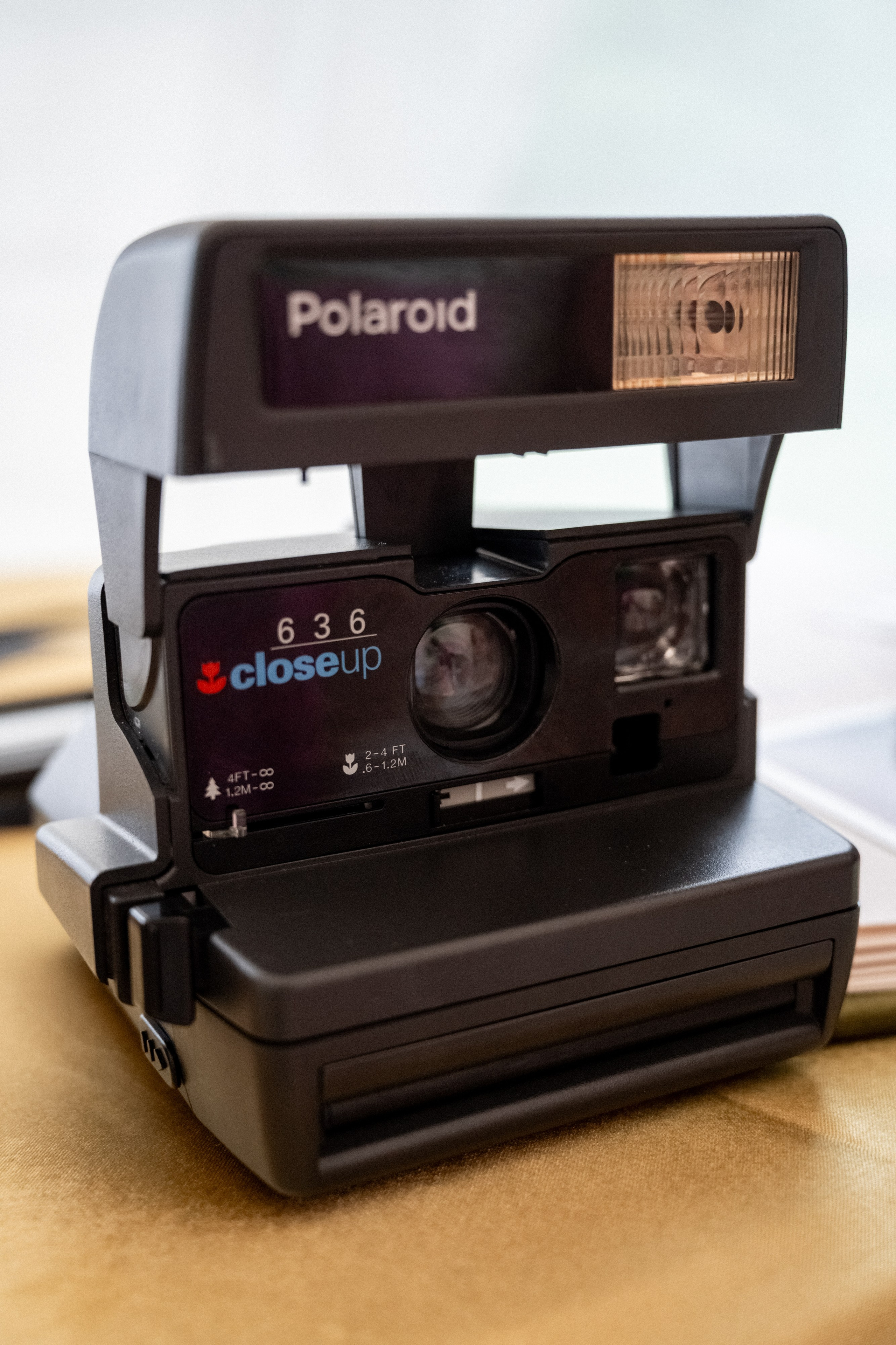 Свадьба Дмитрия и Елизаветы