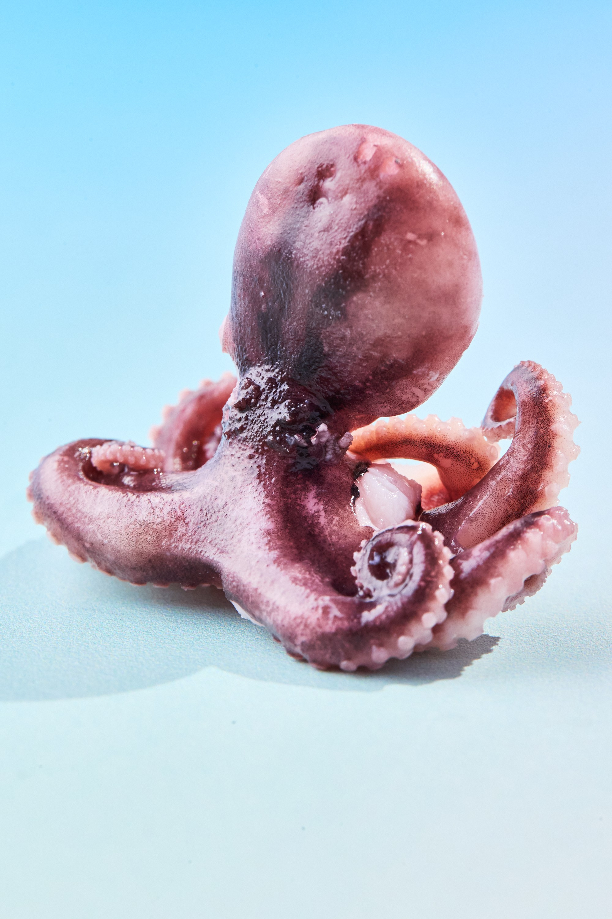 РЕСТОРАНЫ. Контент фотограф в Москве Ник Фрост