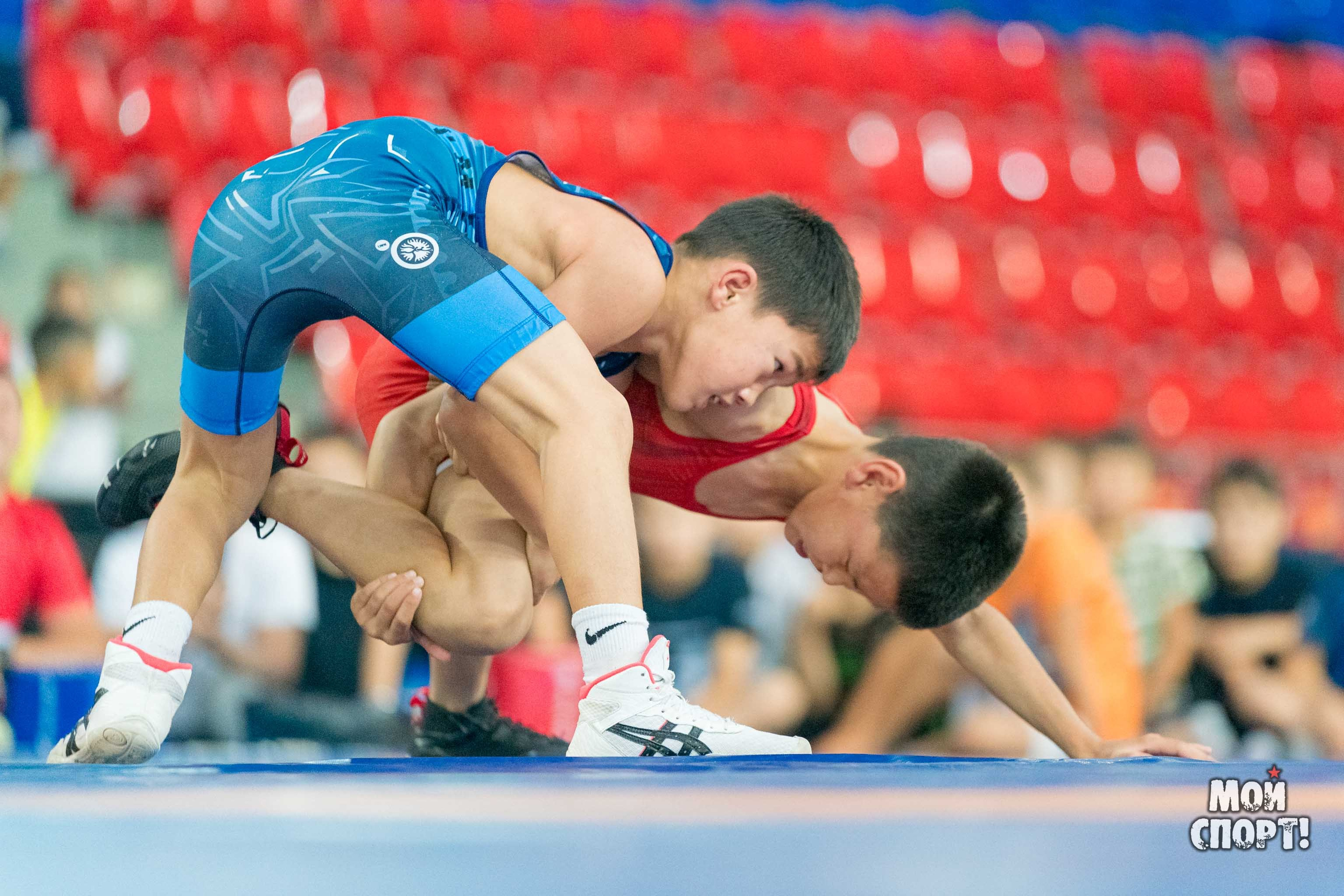 Соревнования по вольной борьбе в честь П. П. Пинигина. Студия «Мой Спорт!» — все о спорте в Якутии