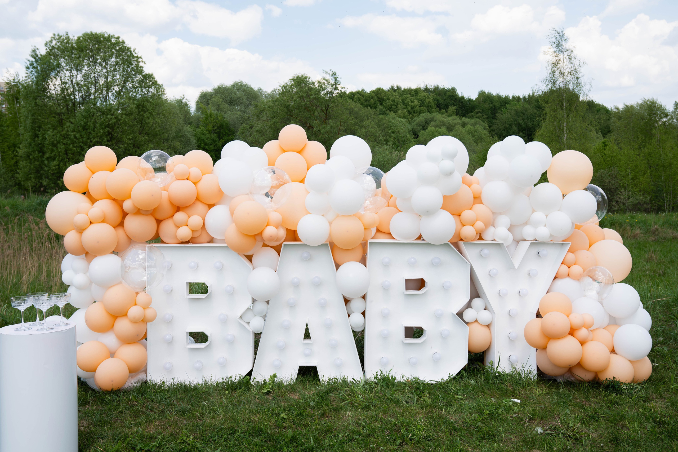 Gender party. Свадебный фотограф в Москве Татьяна Вакулина