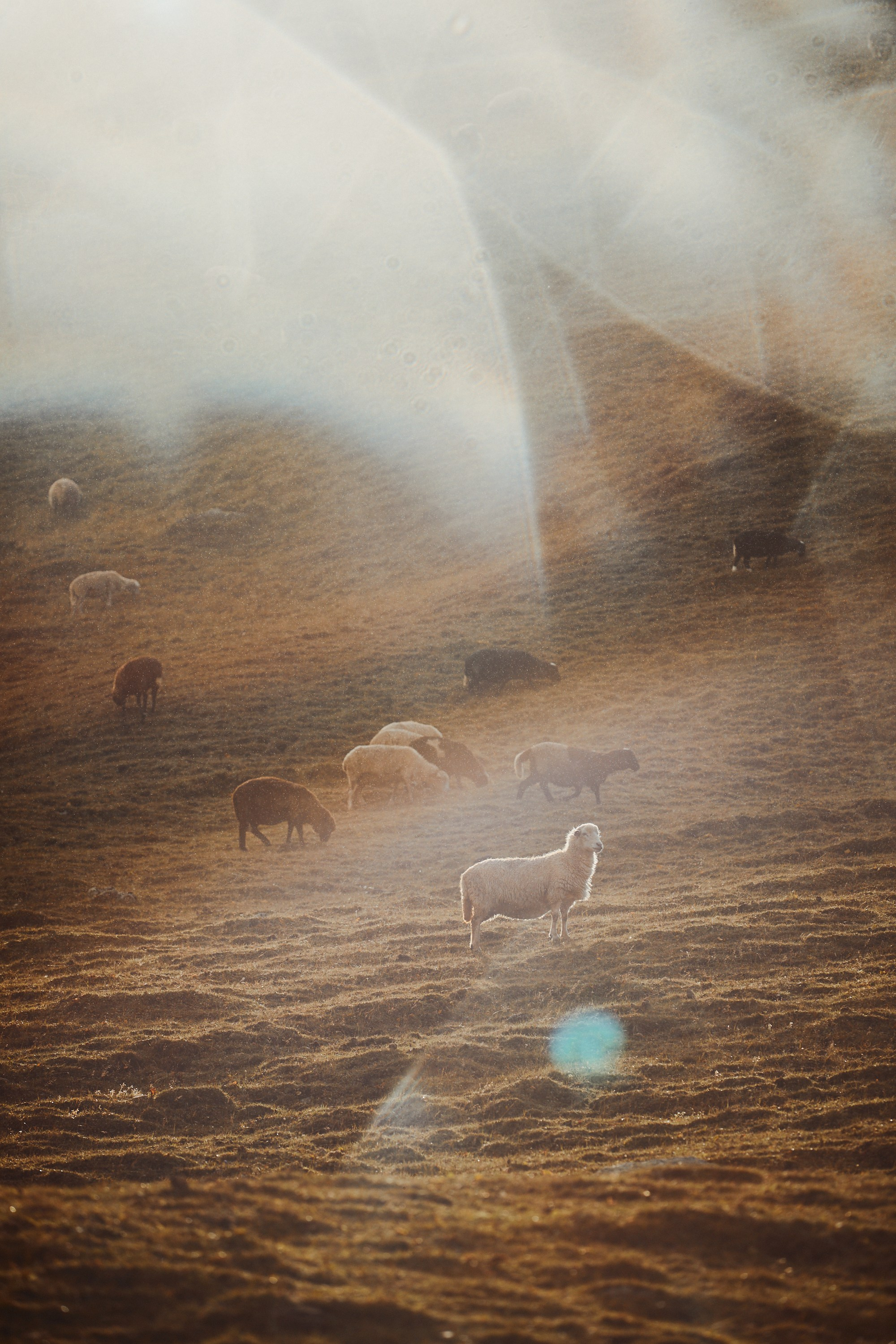 Озеро Гийбашкель. Фотограф Продюсер в горах КБР / Москва  Нальчик Горы