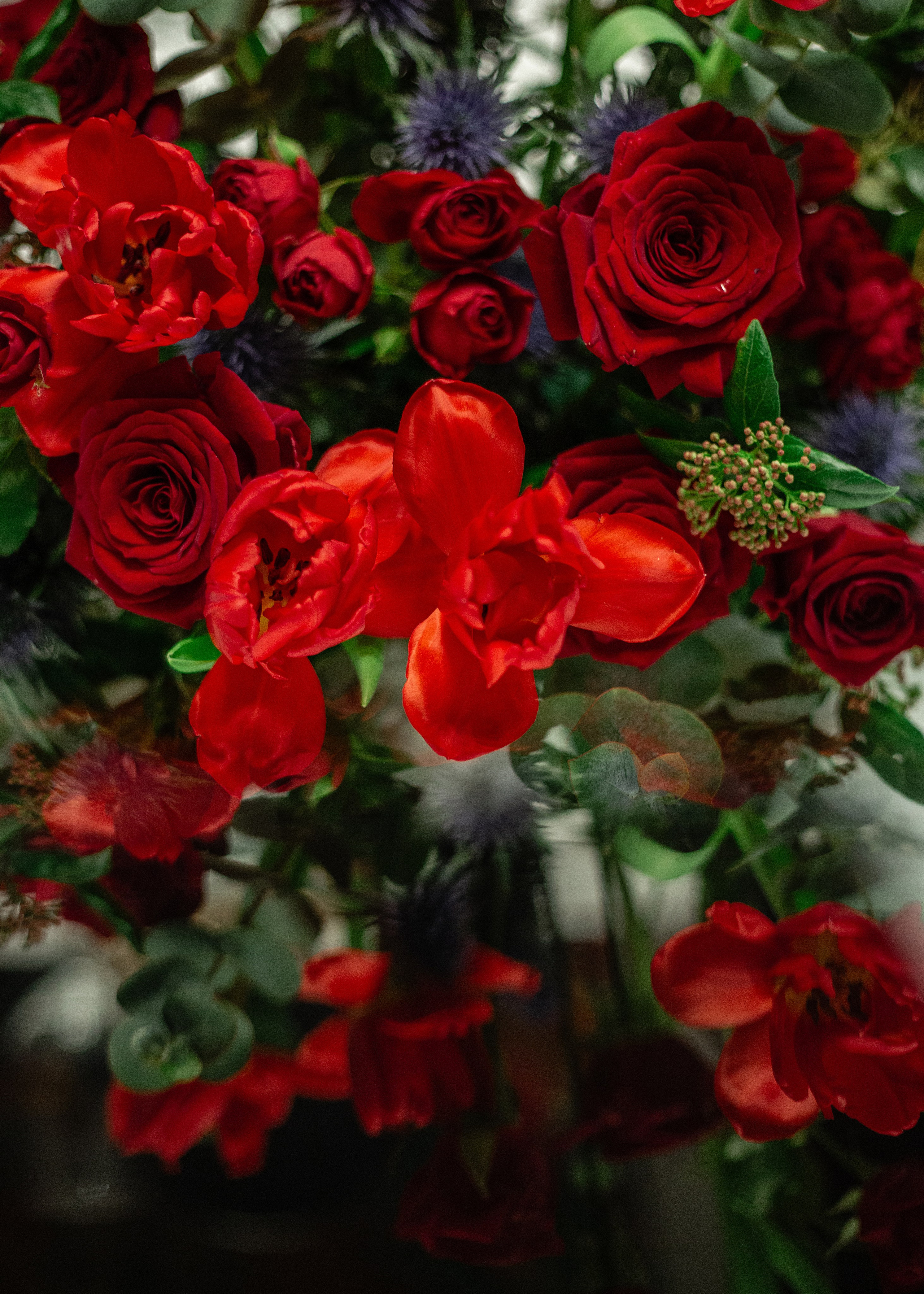 Балзи Росси. Студия декора Подзюм