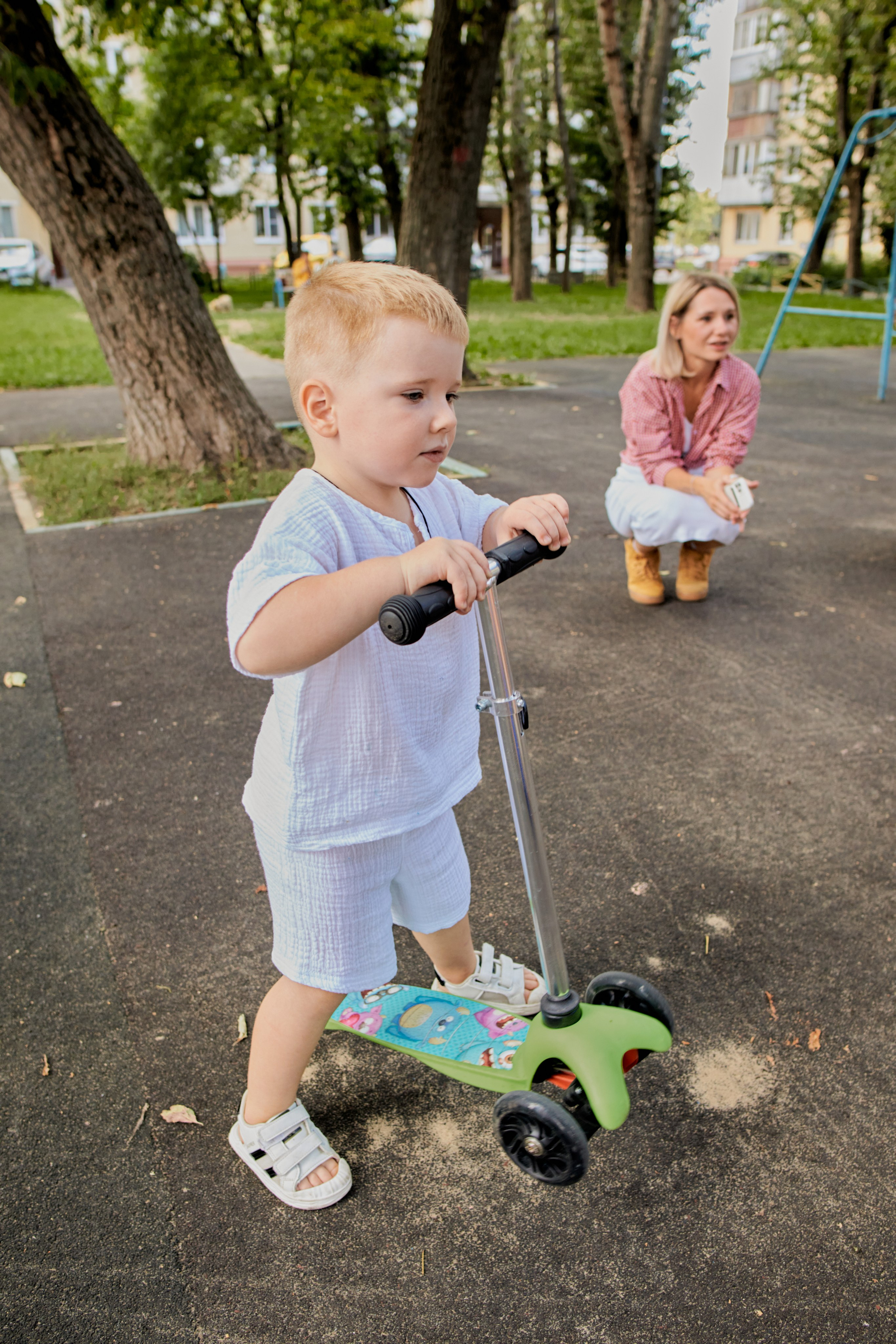 Три кота. Фотограф Москва