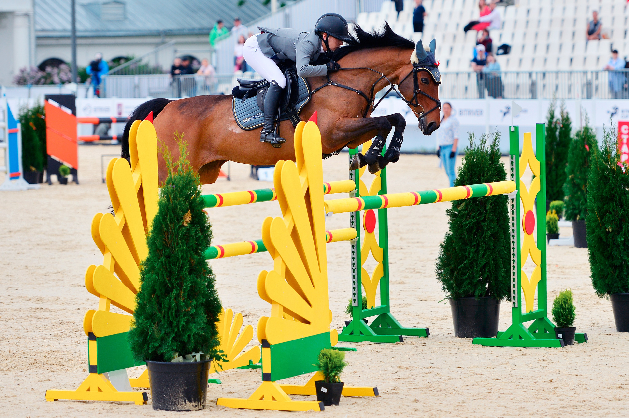 Репортаж Bitriver. Конный фотограф Alesya Safe