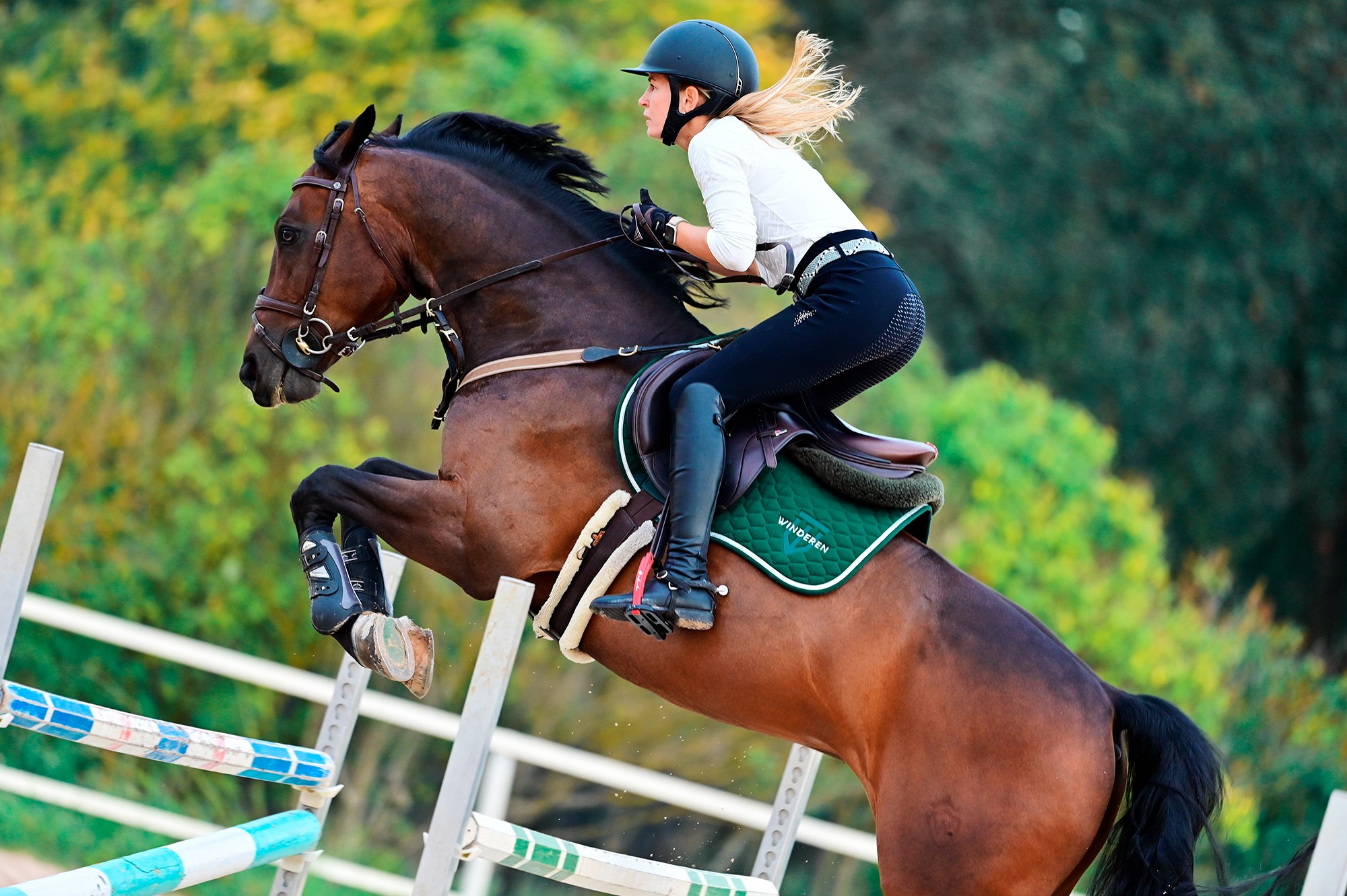 Тренировки. Конный фотограф Alesya Safe