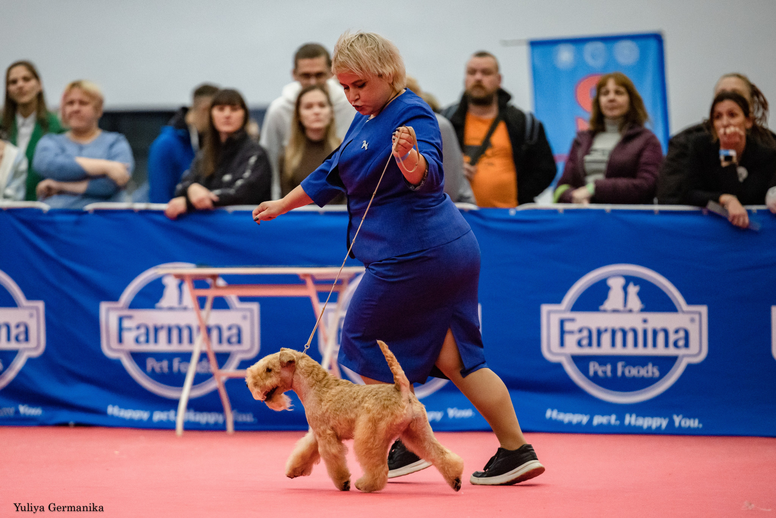 Нижний Новгород 21-22.10.2023. Фотограф-анималист Юлия Германика