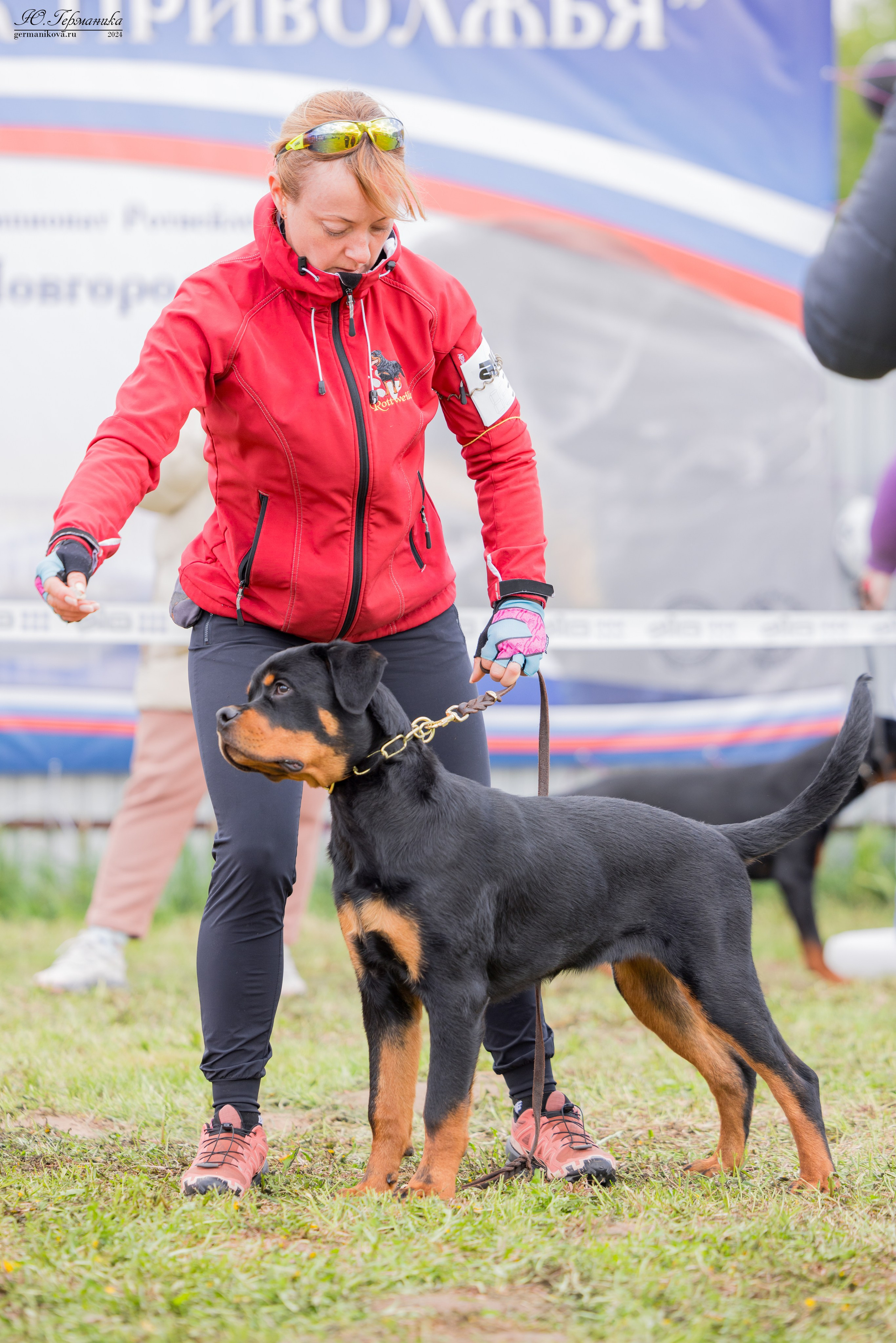 Нижний Новгород 11-12.05.2024 моно ротвейлеров. Фотограф-анималист Юлия Германика