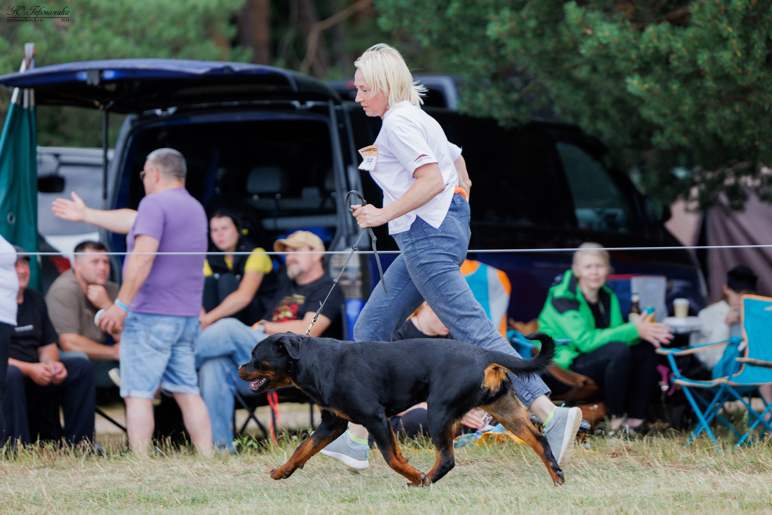 ПК и КЧК ротвейлеры Тверь 6-7.07.2024. Фотограф-анималист Юлия Германика