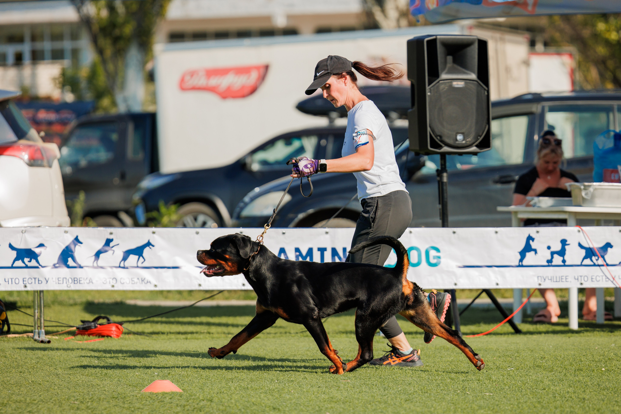 Анапа ротвейлеры 14-15.09.2024. Фотограф-анималист Юлия Германика