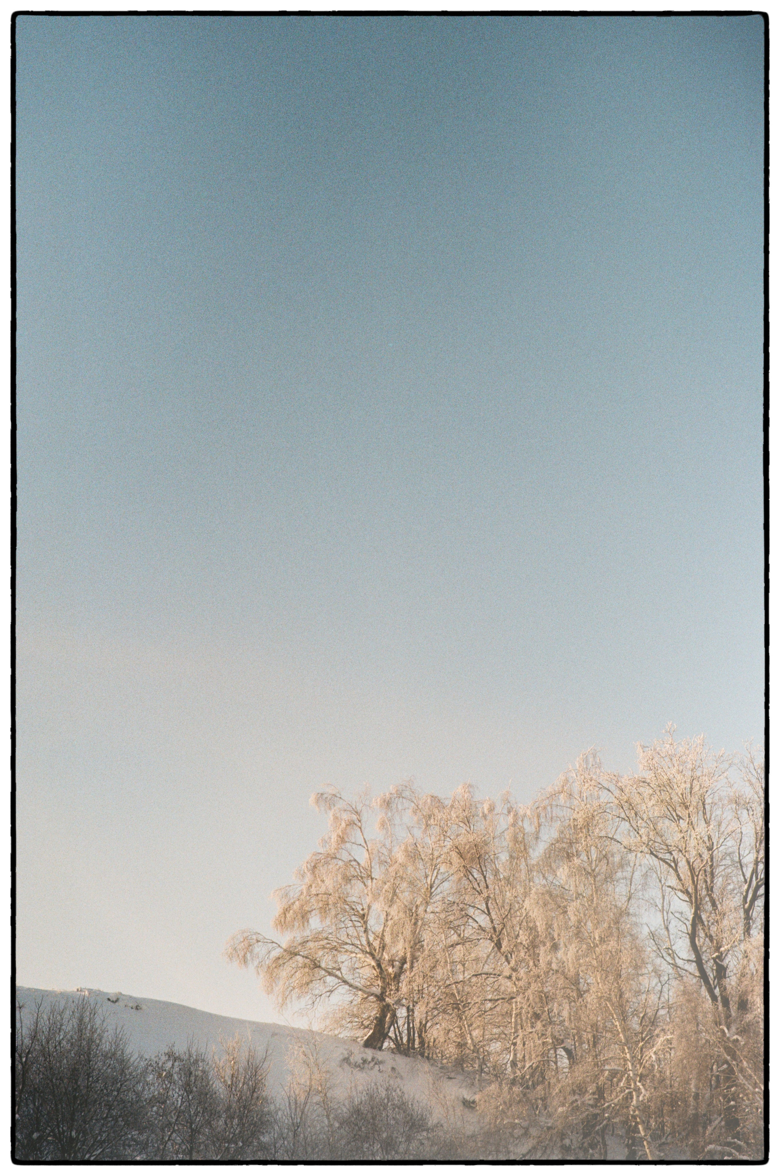 Зимнее. Фотограф Филякин Константин