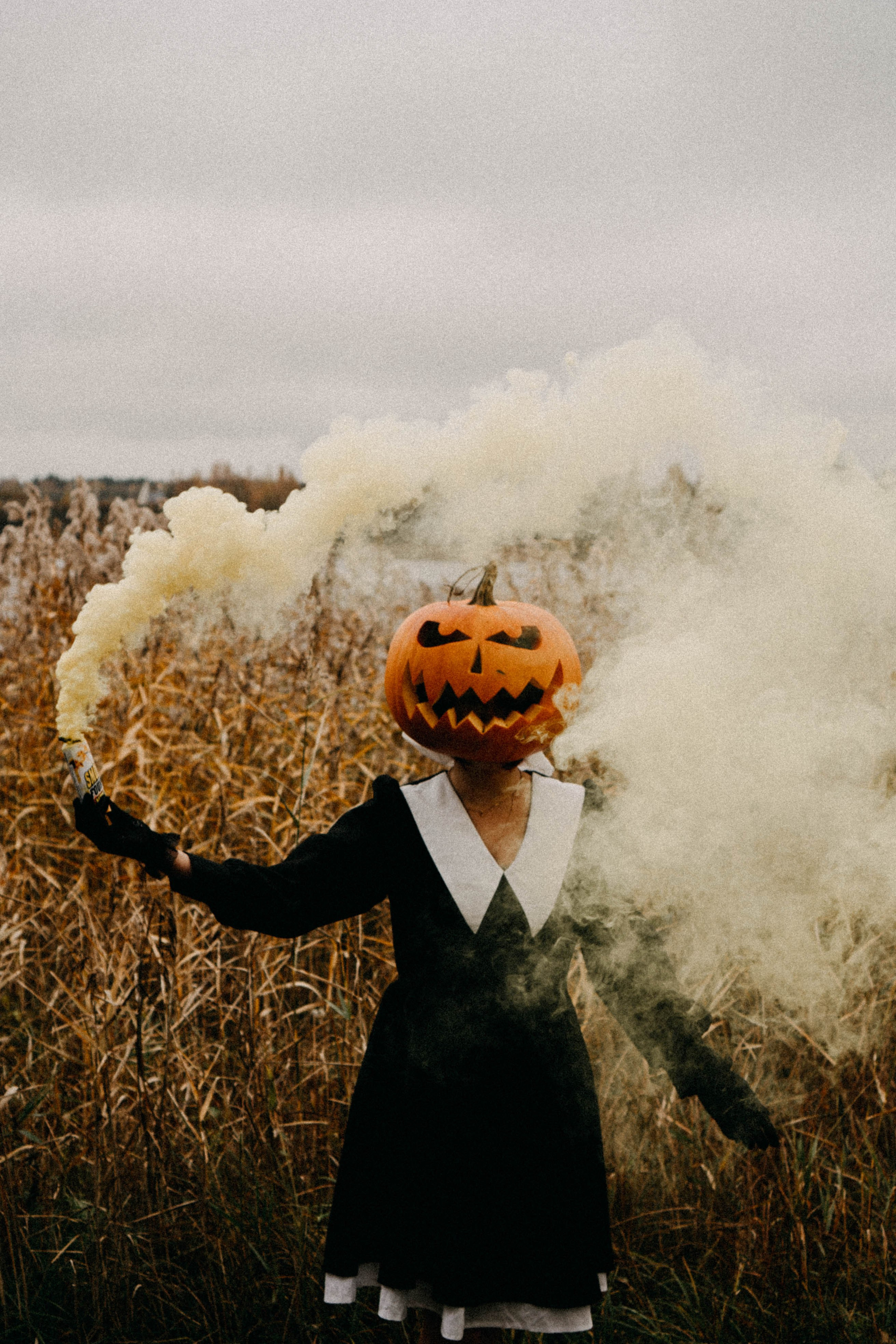Осеняя. Профессиональный фотограф, Санкт-Петербург — Виктория Богомолова