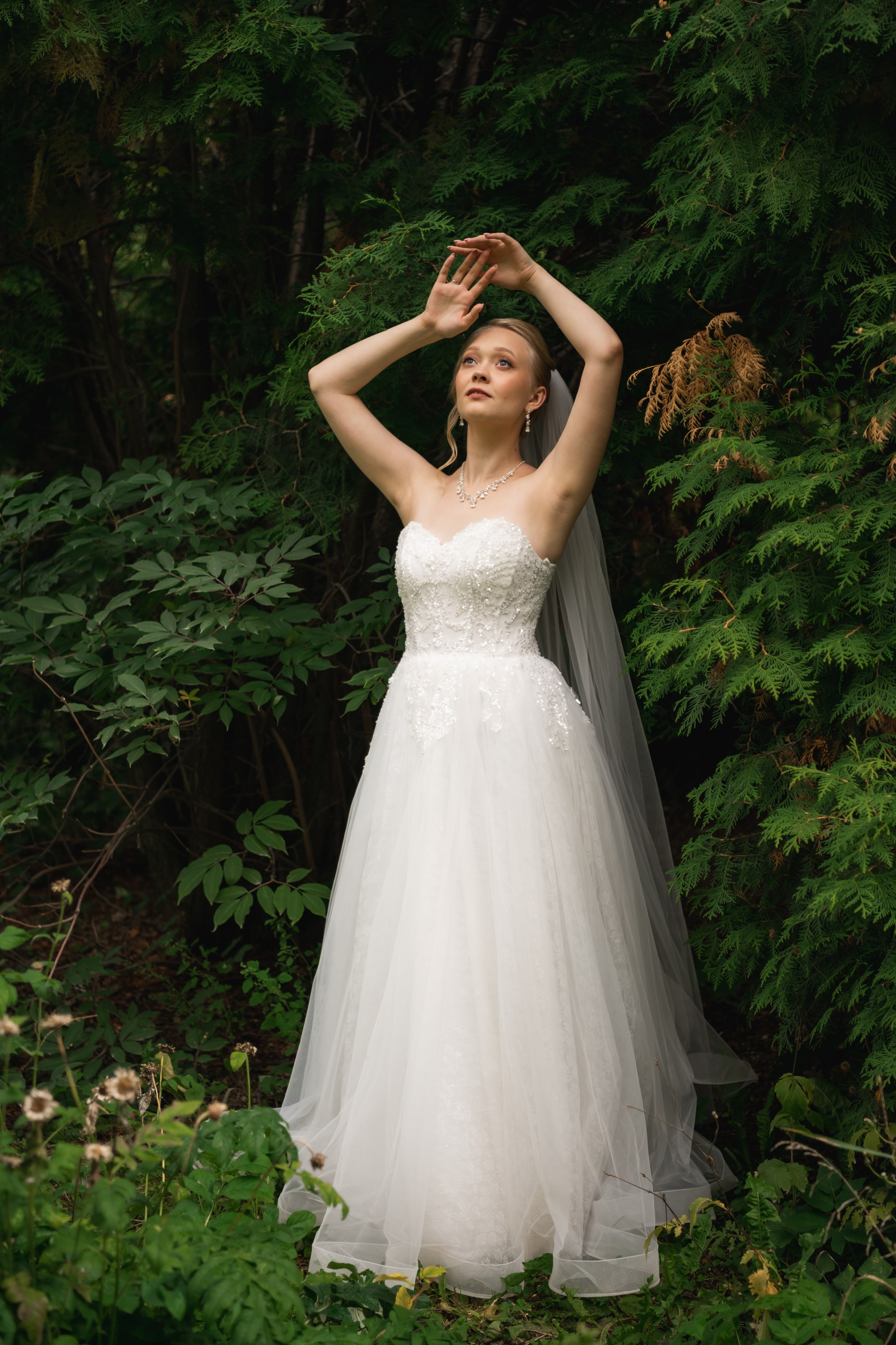 Даниил и Татьяна. Фомина Елена Свадебный и семейный фотограф