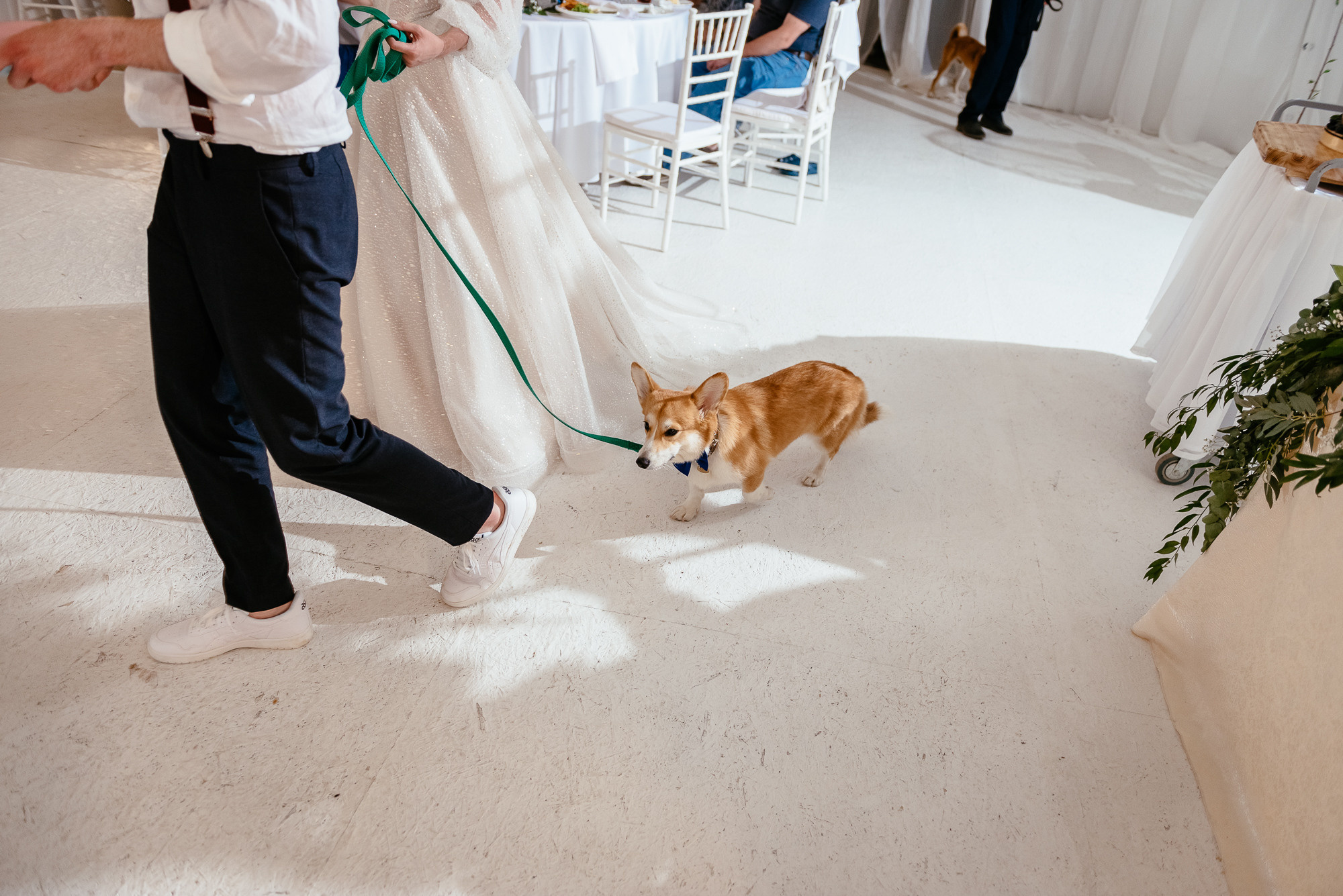 Оля и Саша. Фотограф в Волгограде Виталий Самойлов