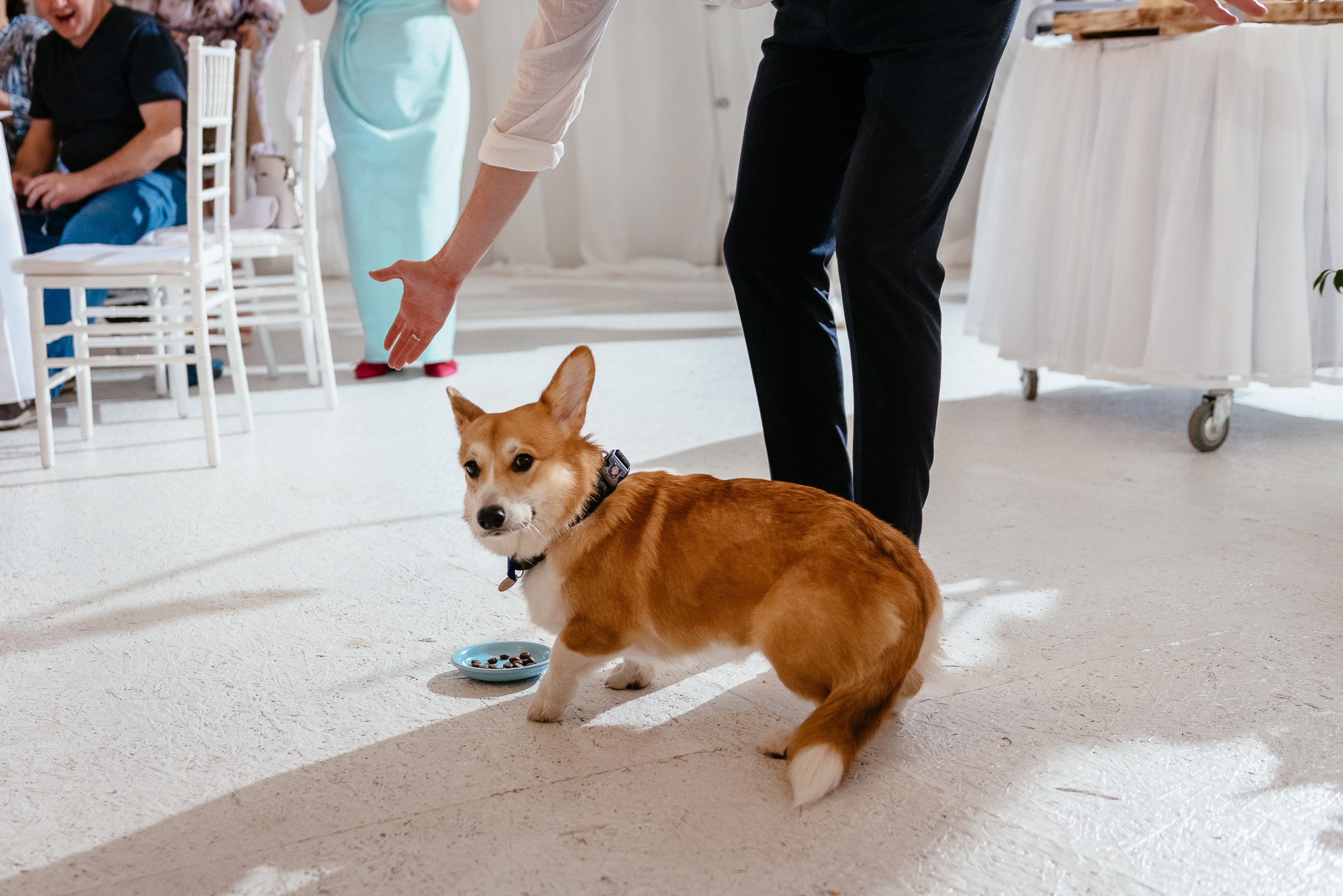 Оля и Саша. Фотограф в Волгограде Виталий Самойлов