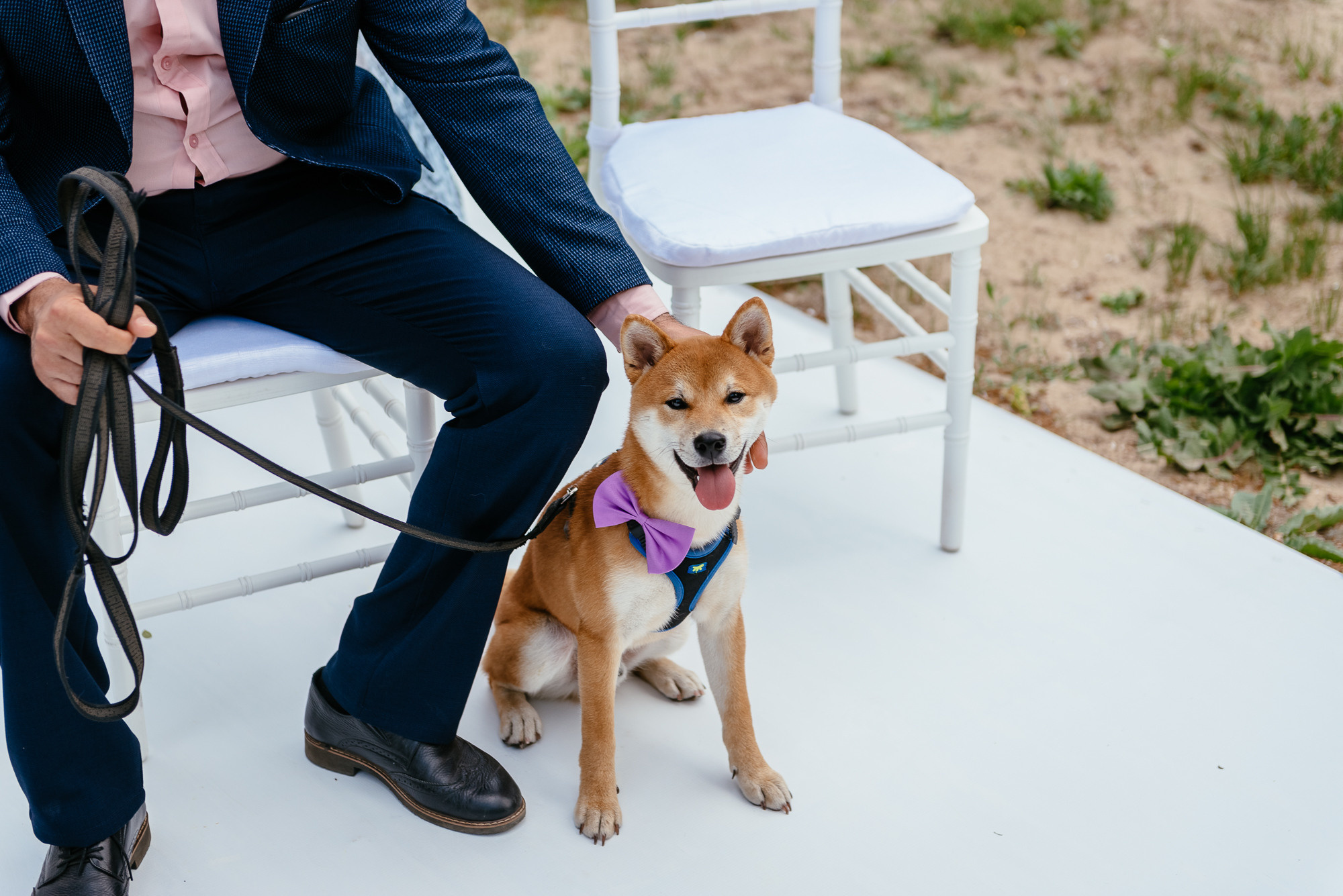 Оля и Саша. Фотограф в Волгограде Виталий Самойлов