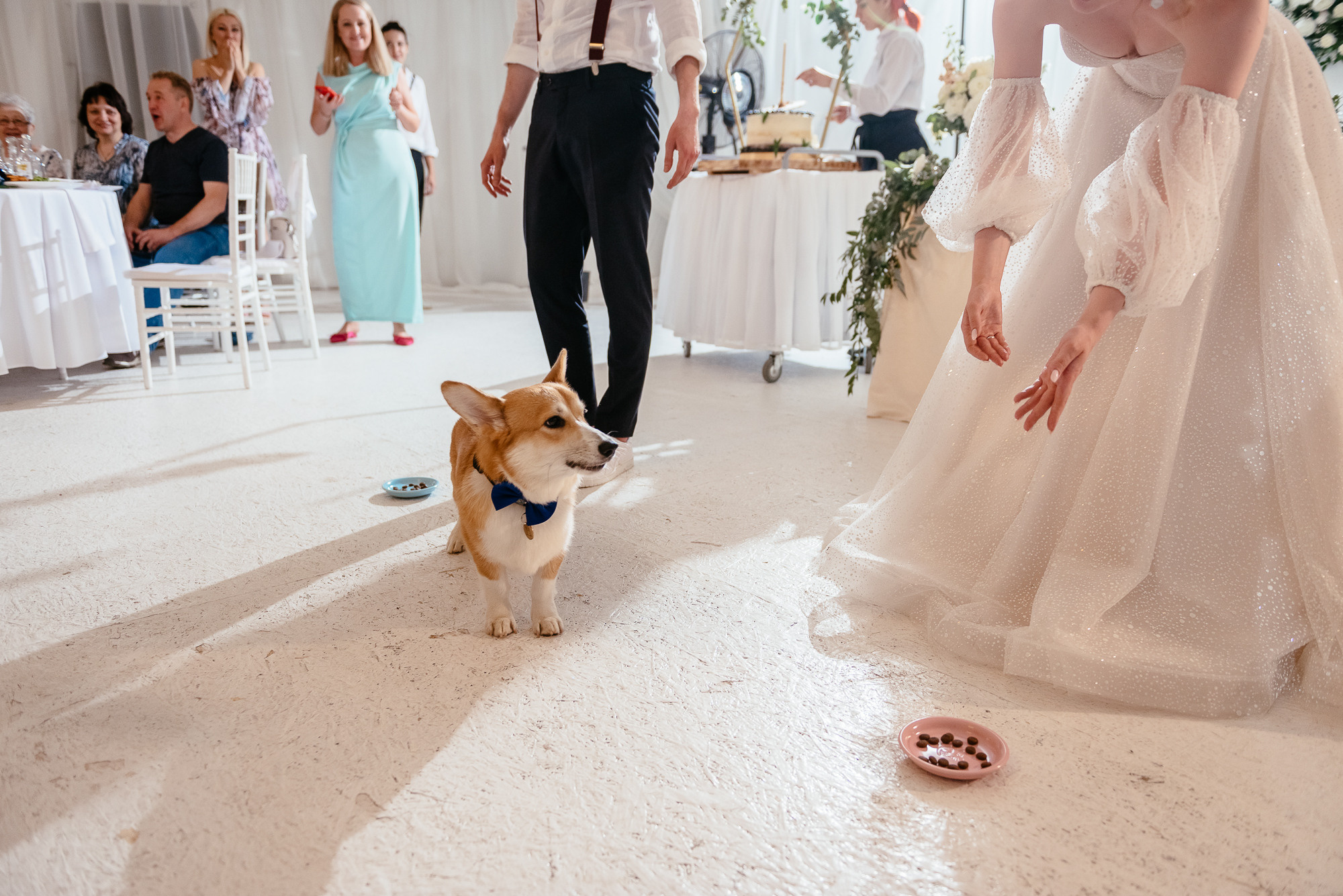 Оля и Саша. Фотограф в Волгограде Виталий Самойлов