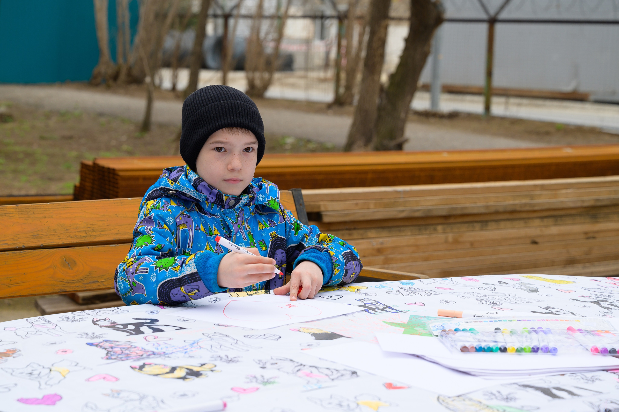 Открытие приюта для собак породы Хаски «Хаски дом»