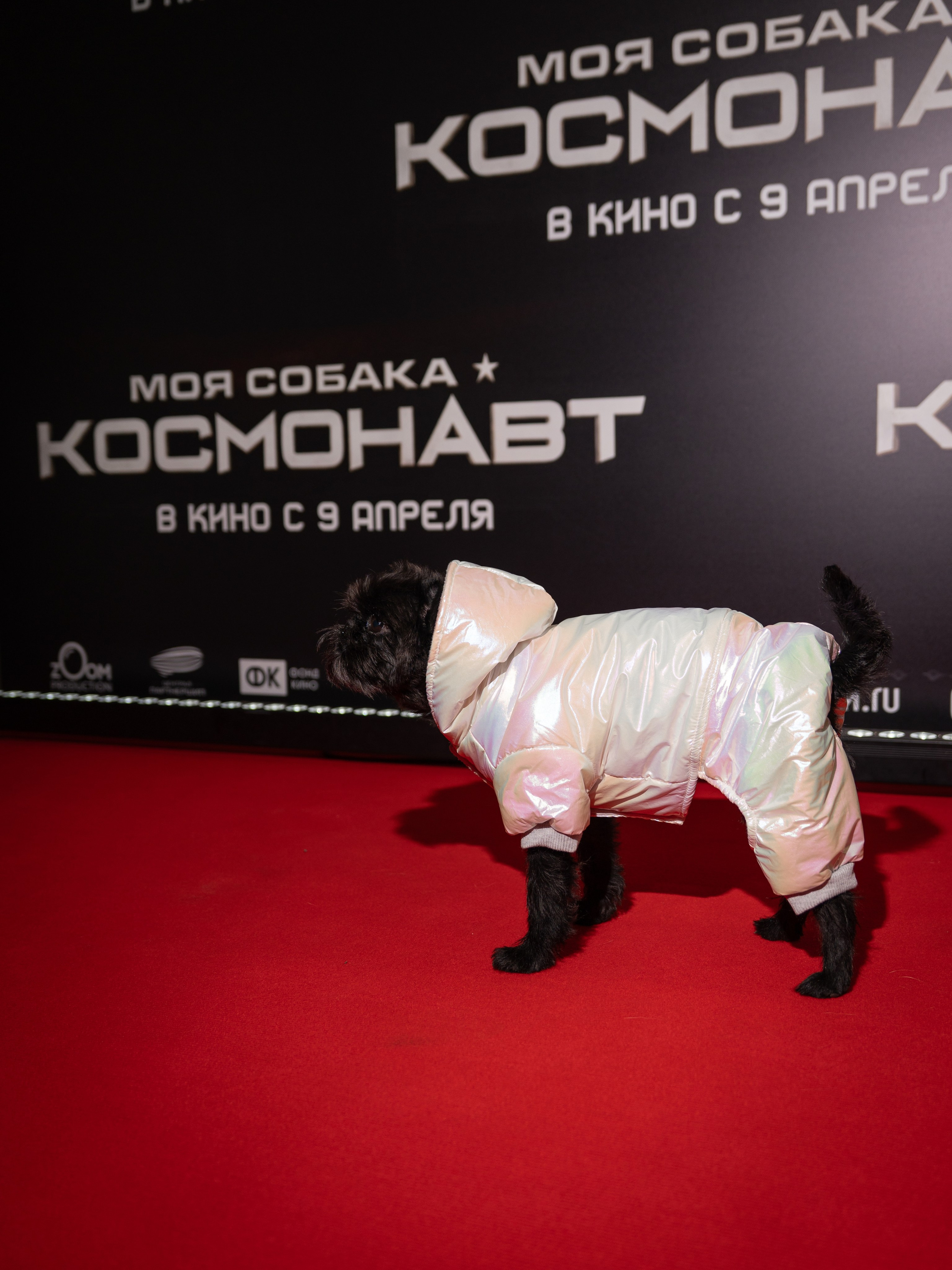 Премьера: Моя собака космонавт. Илья Варин — Фотограф Москва, Тверь