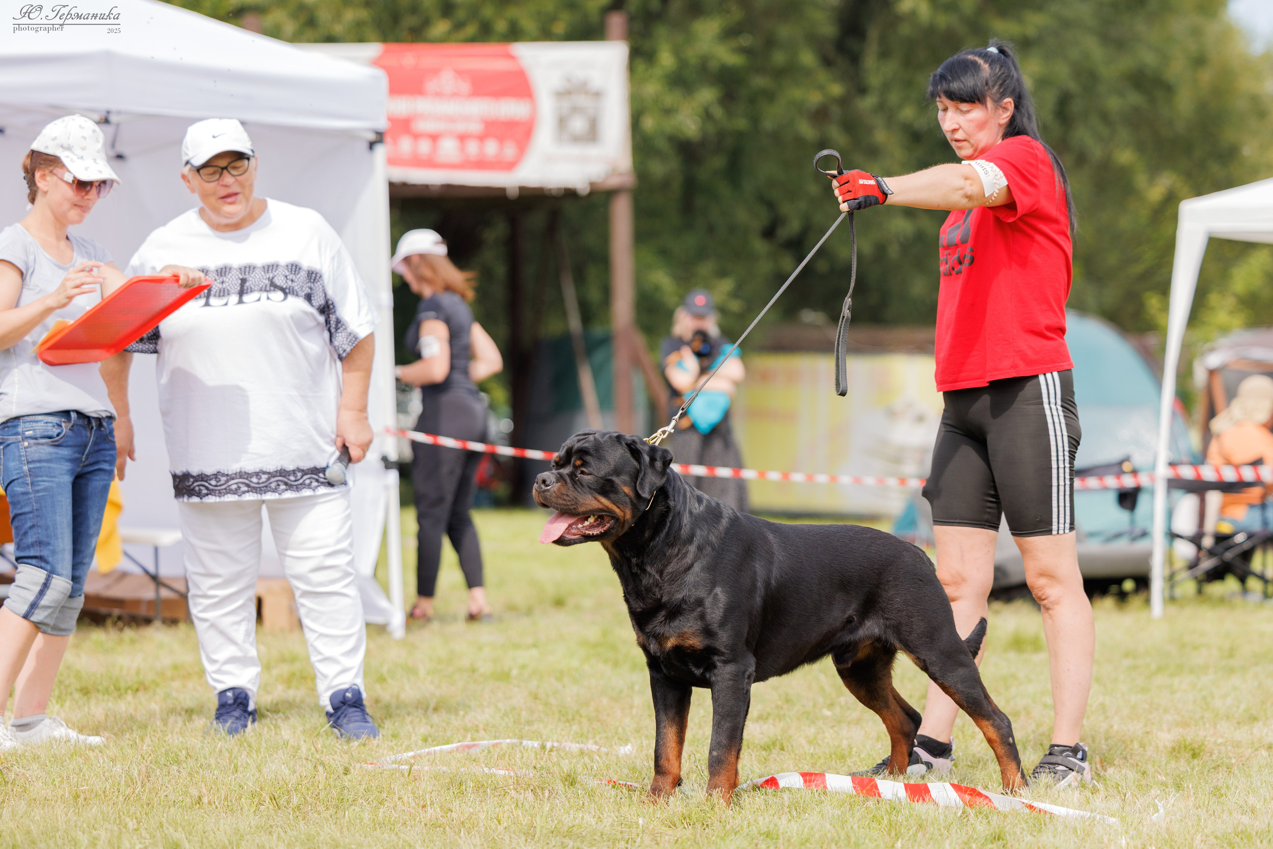 Рязань 2хмоно ротвейлеры 16-17.08.2025. Фотограф-анималист Юлия Германика