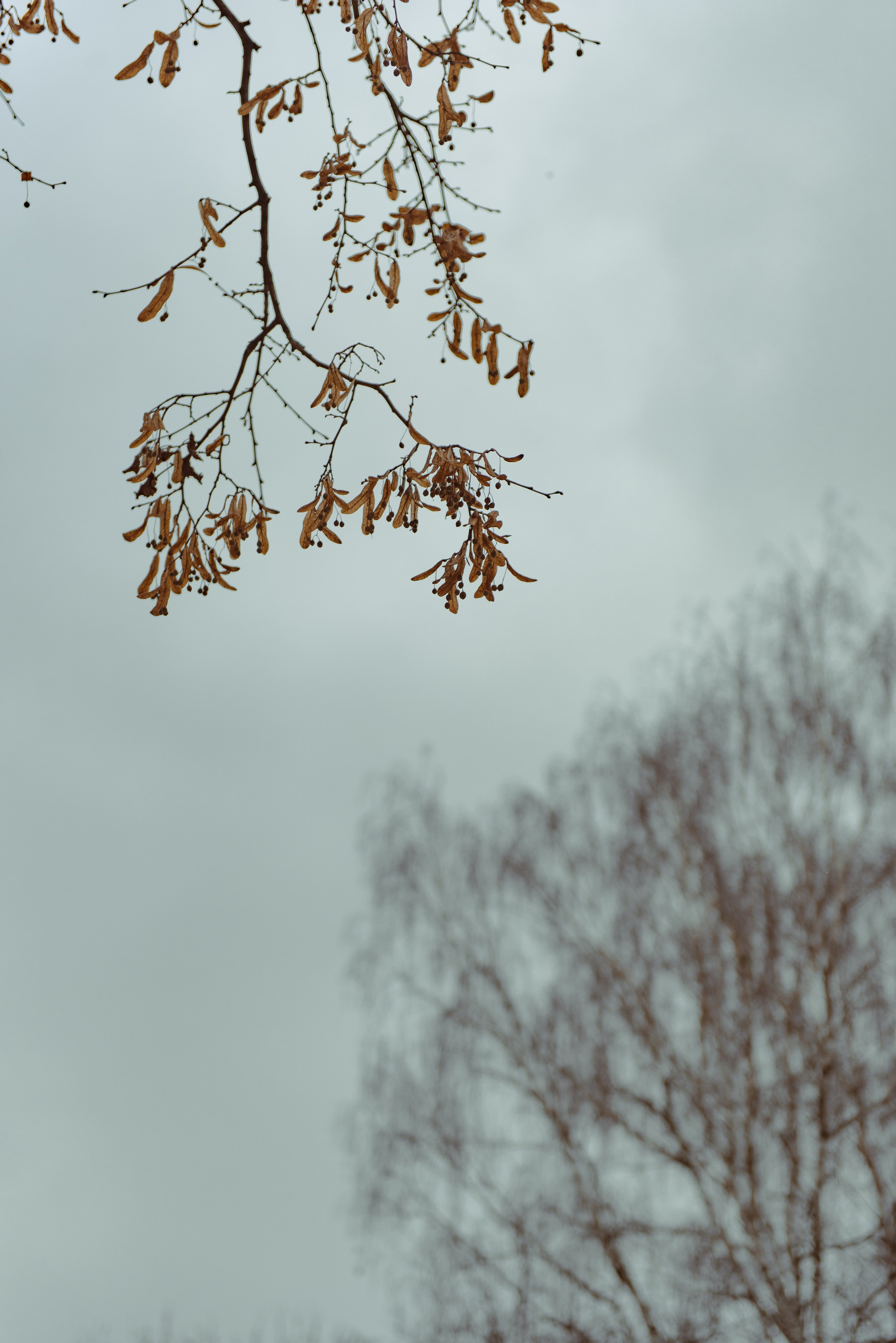 Большой московский цирк. Портретный и архитектурный фотограф в Москве и Санкт-Петербурге