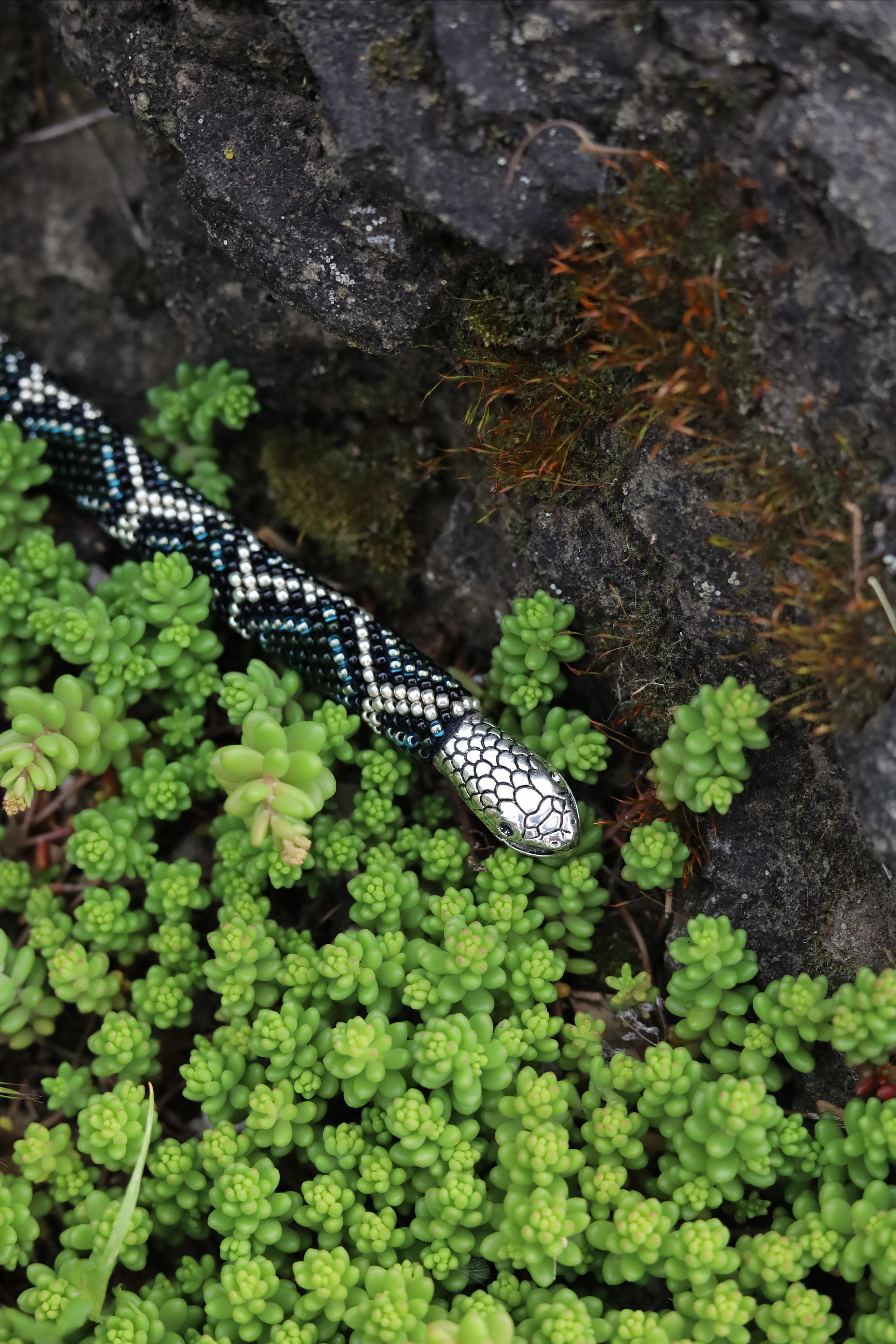Little Big Snake. Света Шувалова — фотограф и видеограф в Тбилиси