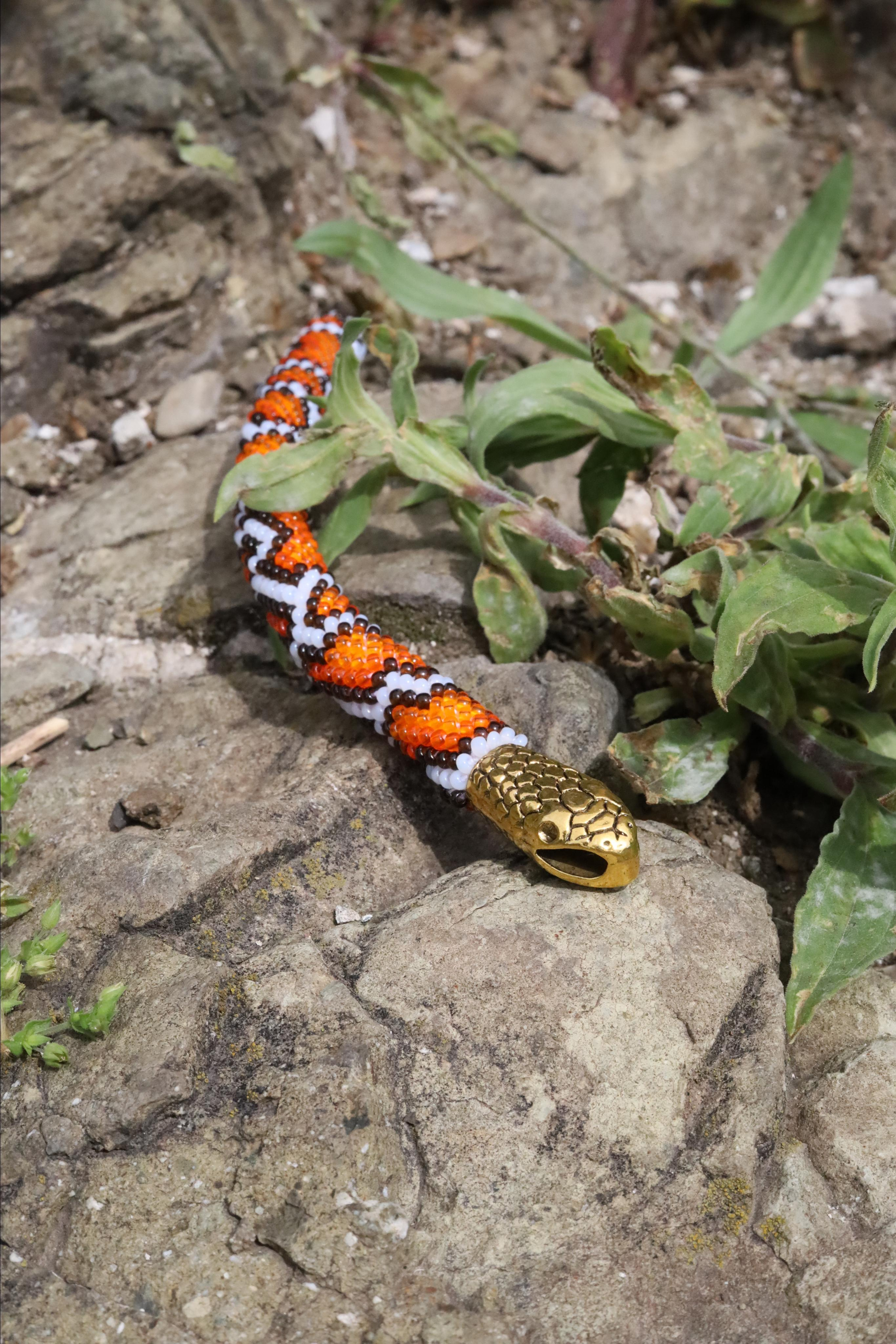 Little Big Snake. Света Шувалова — фотограф и видеограф в Тбилиси